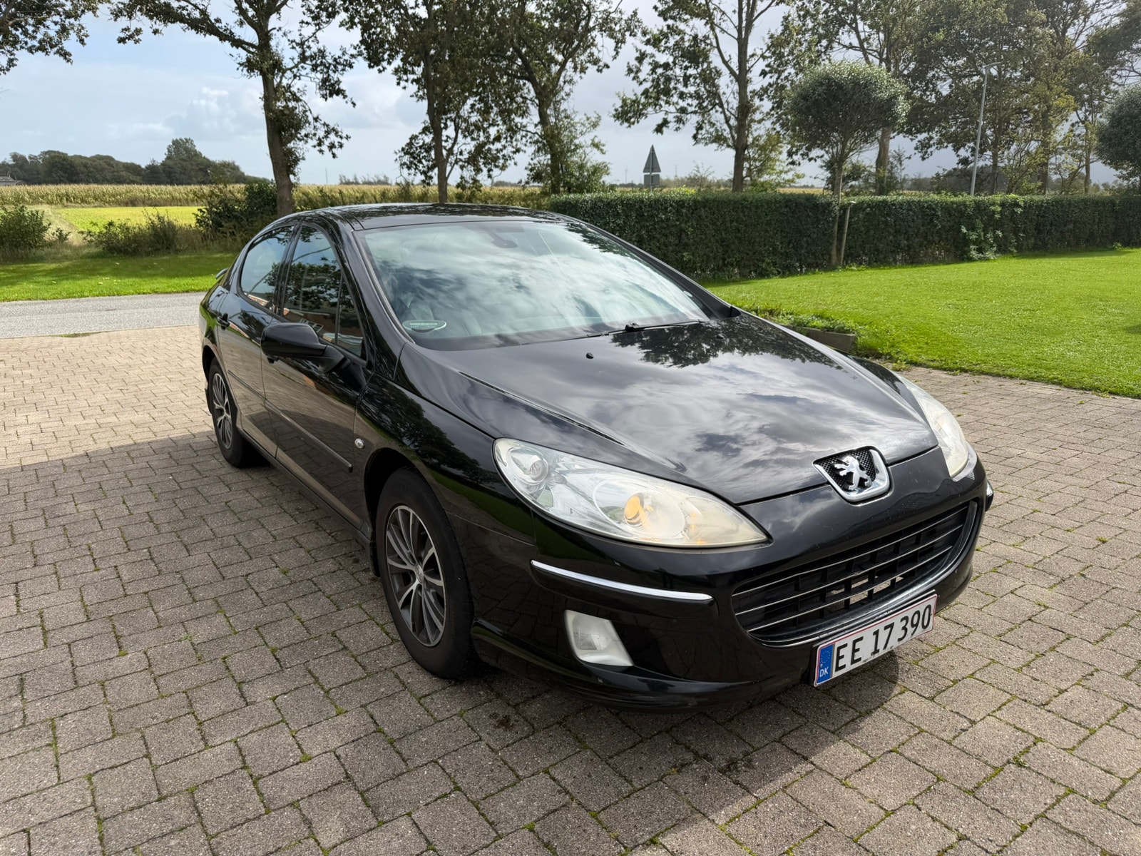 Peugeot 407 – billede 2