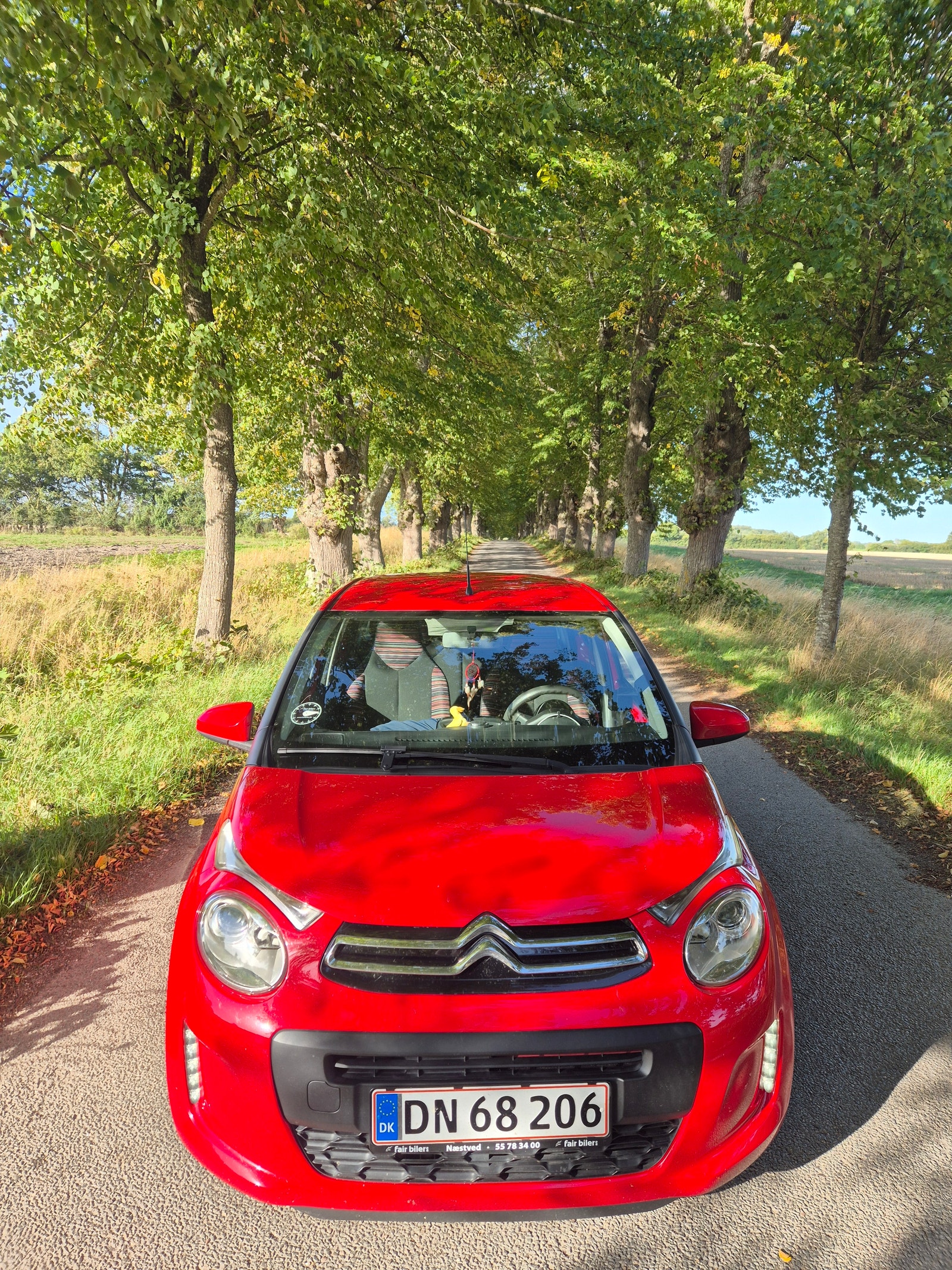 Citroen C1 til salg hos Nabilli
