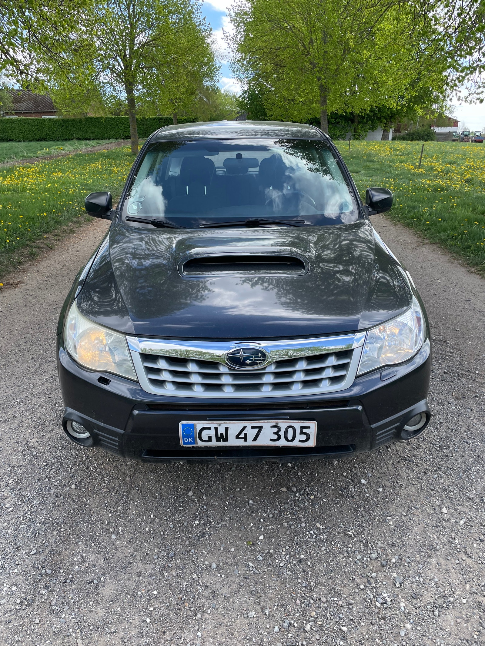 Subaru Forester – billede 7