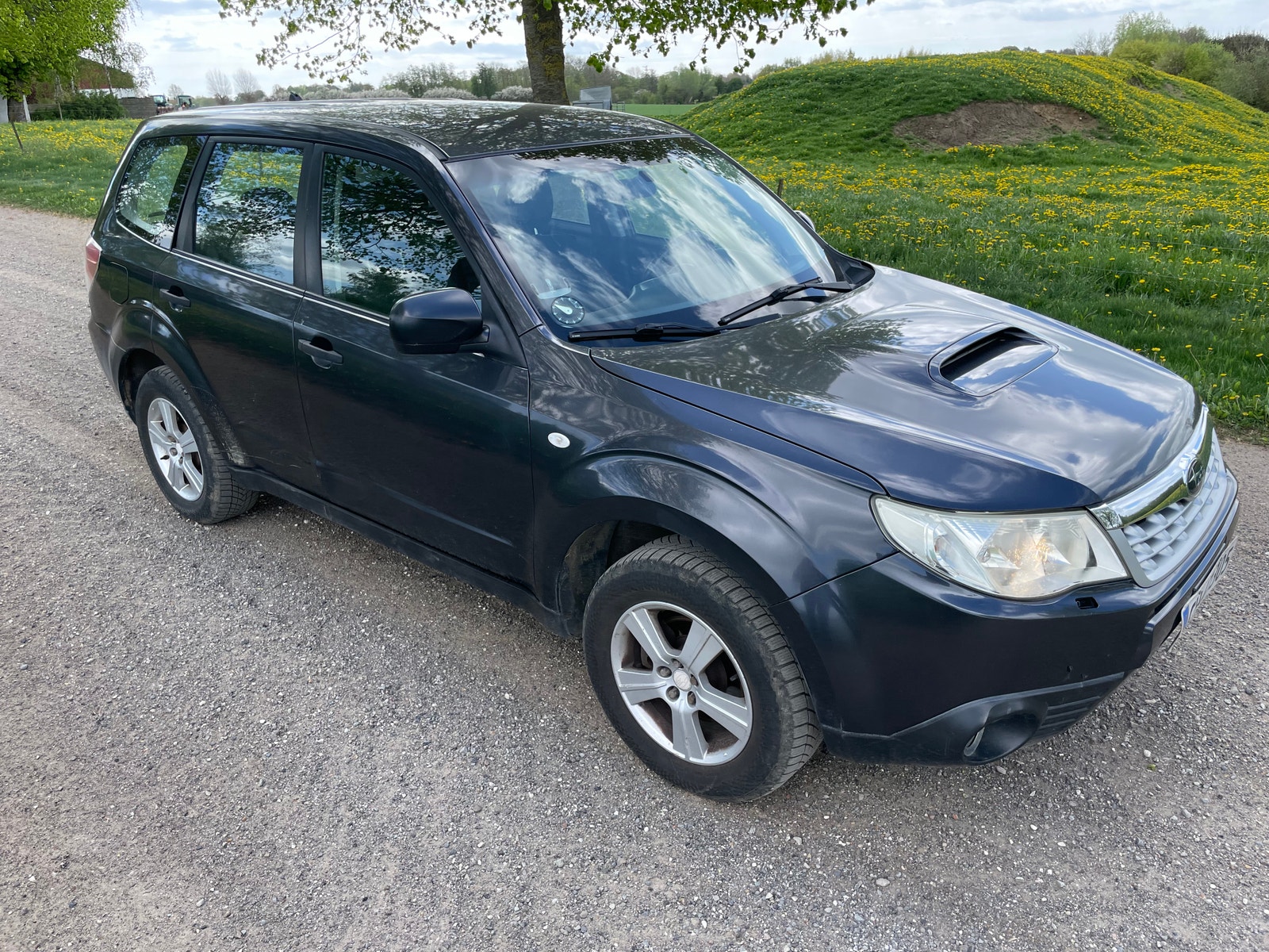 Subaru Forester – billede 8