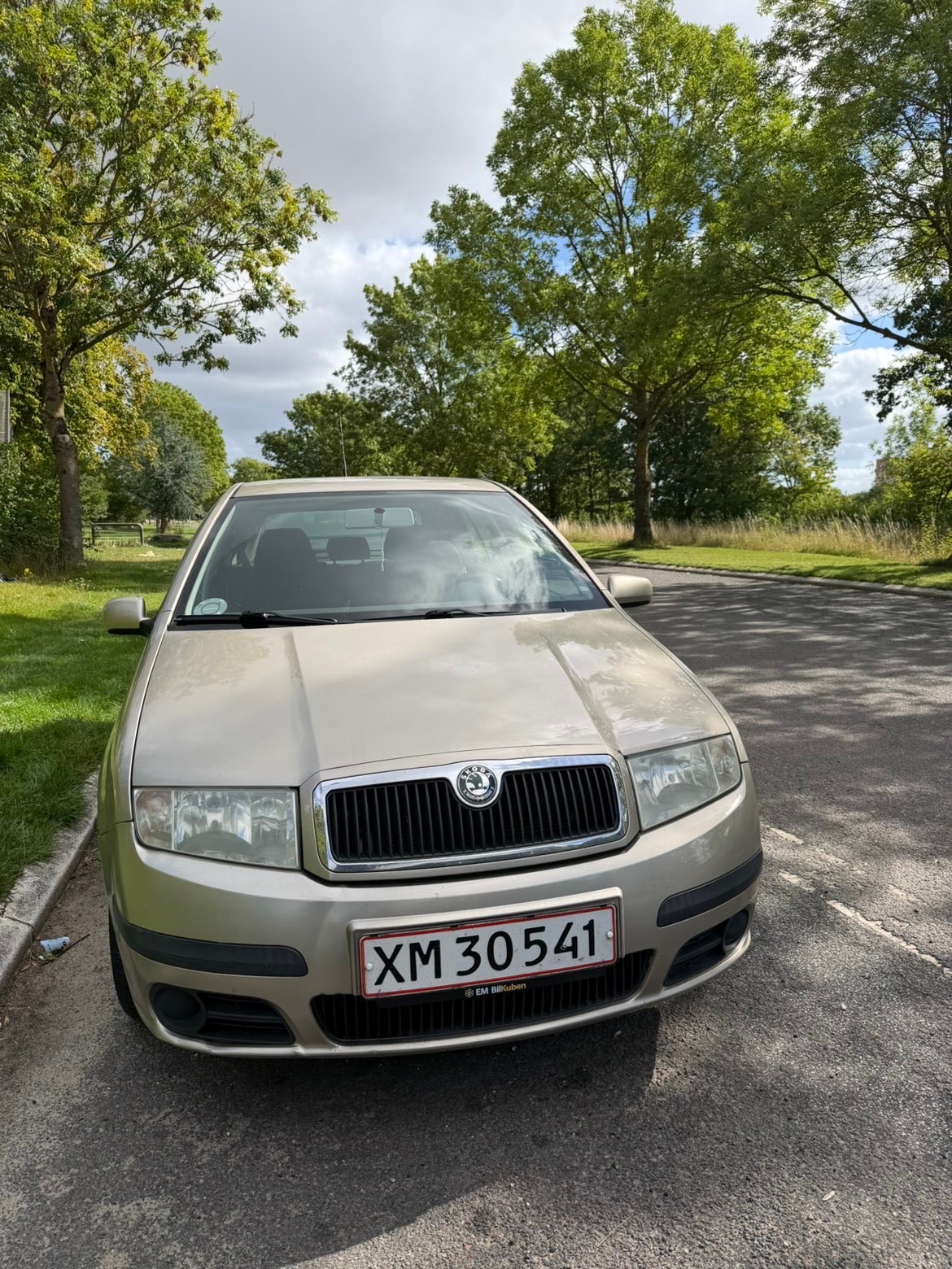 Skoda Fabia til salg hos Nabilli