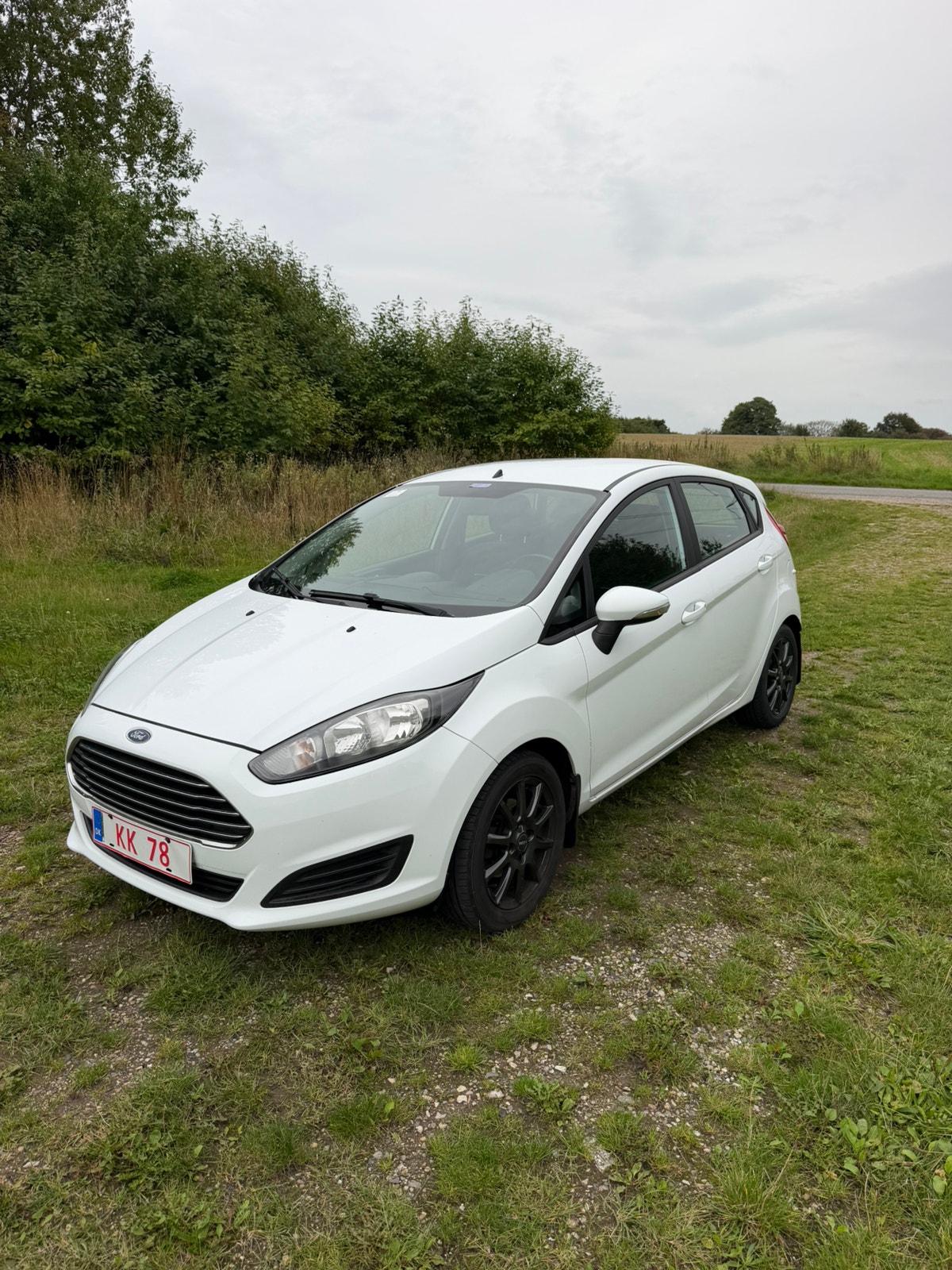 Ford Fiesta til salg hos Nabilli
