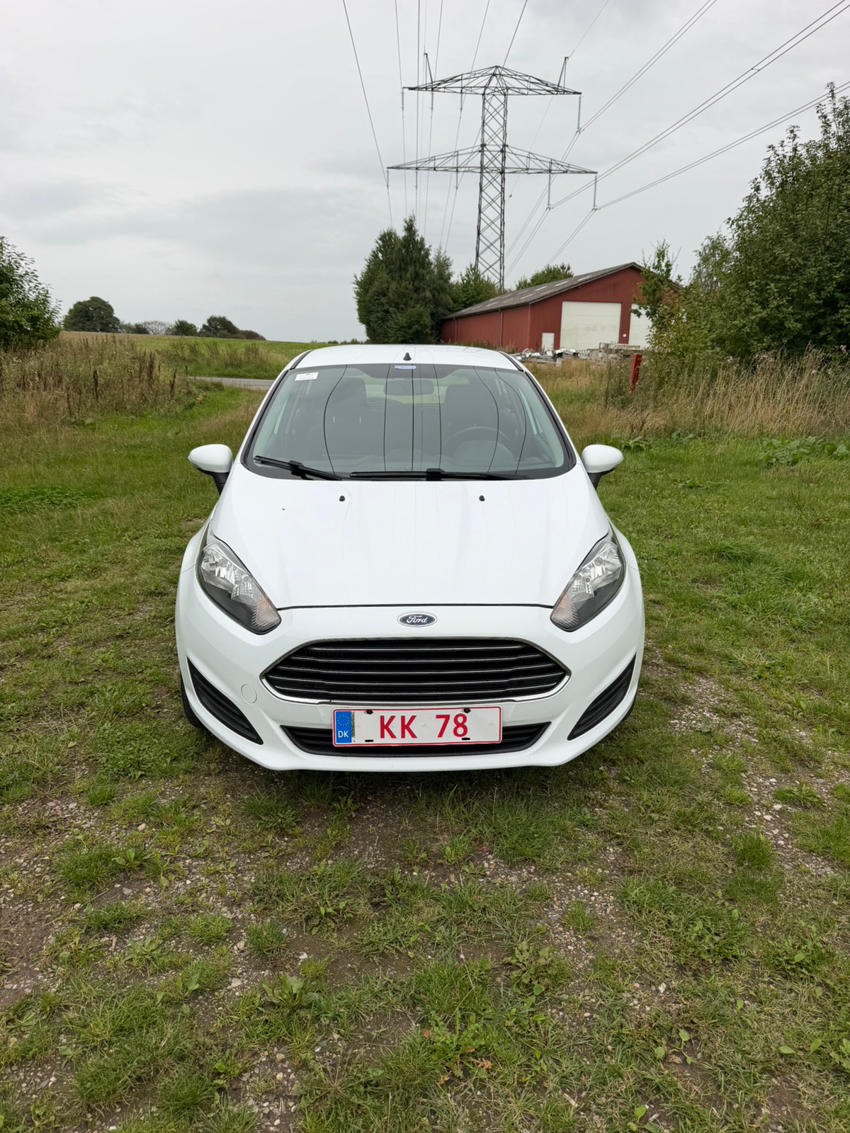 Ford Fiesta til salg hos Nabilli
