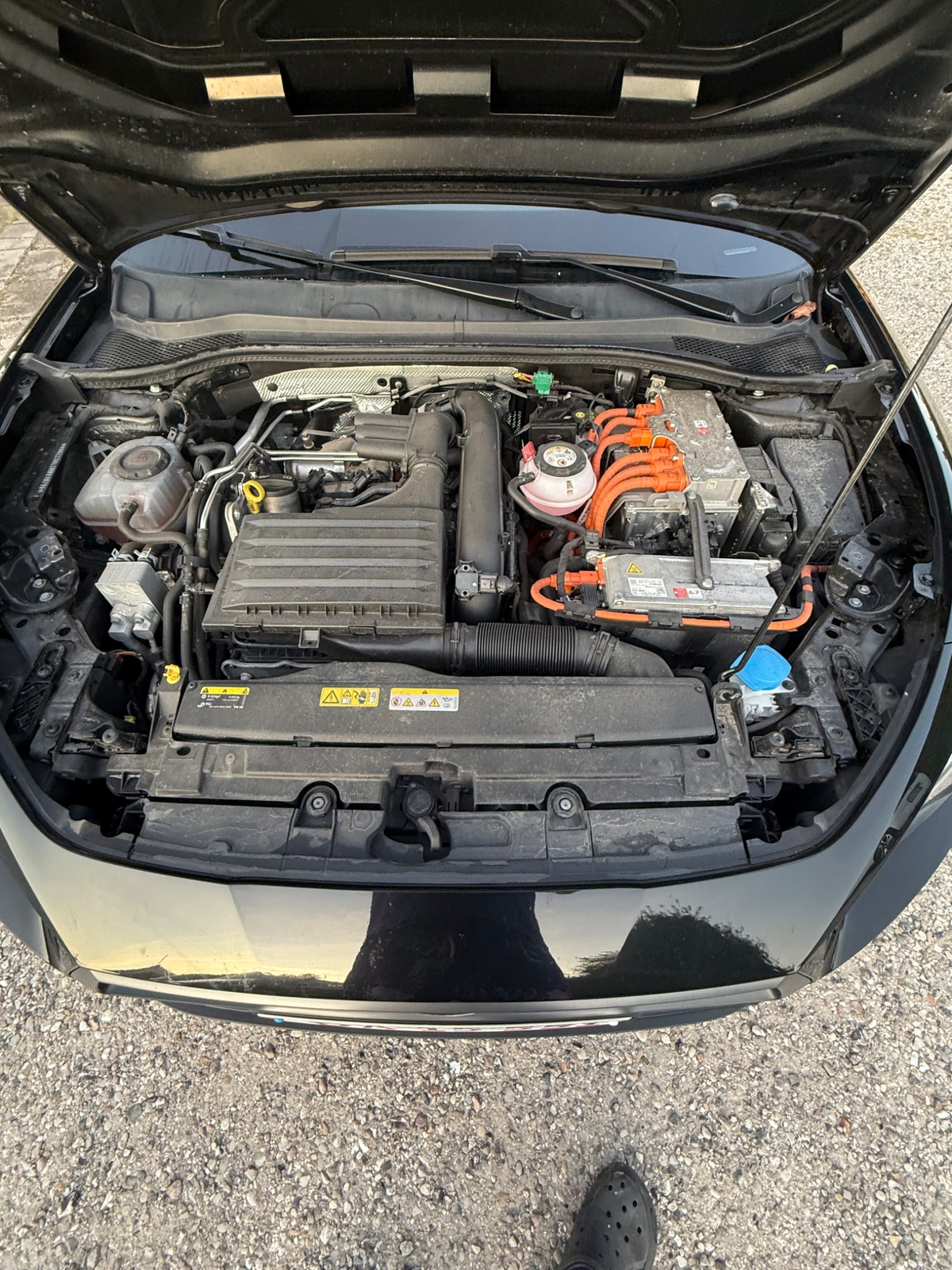Seat Leon – billede 5