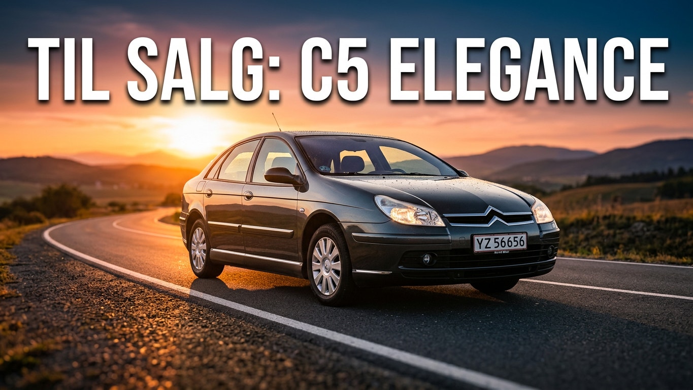 Citroen C5 til salg hos Nabilli
