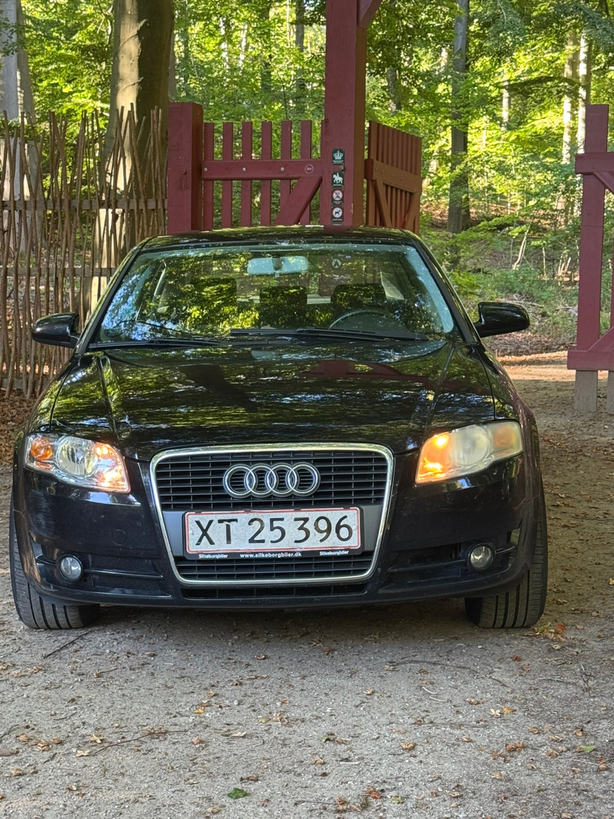 Audi A4 til salg hos Nabilli