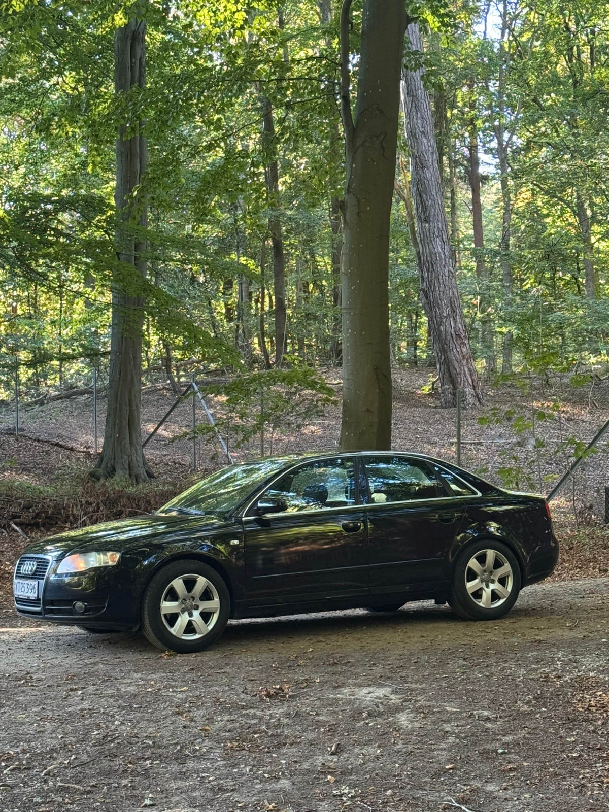 Audi A4 til salg hos Nabilli