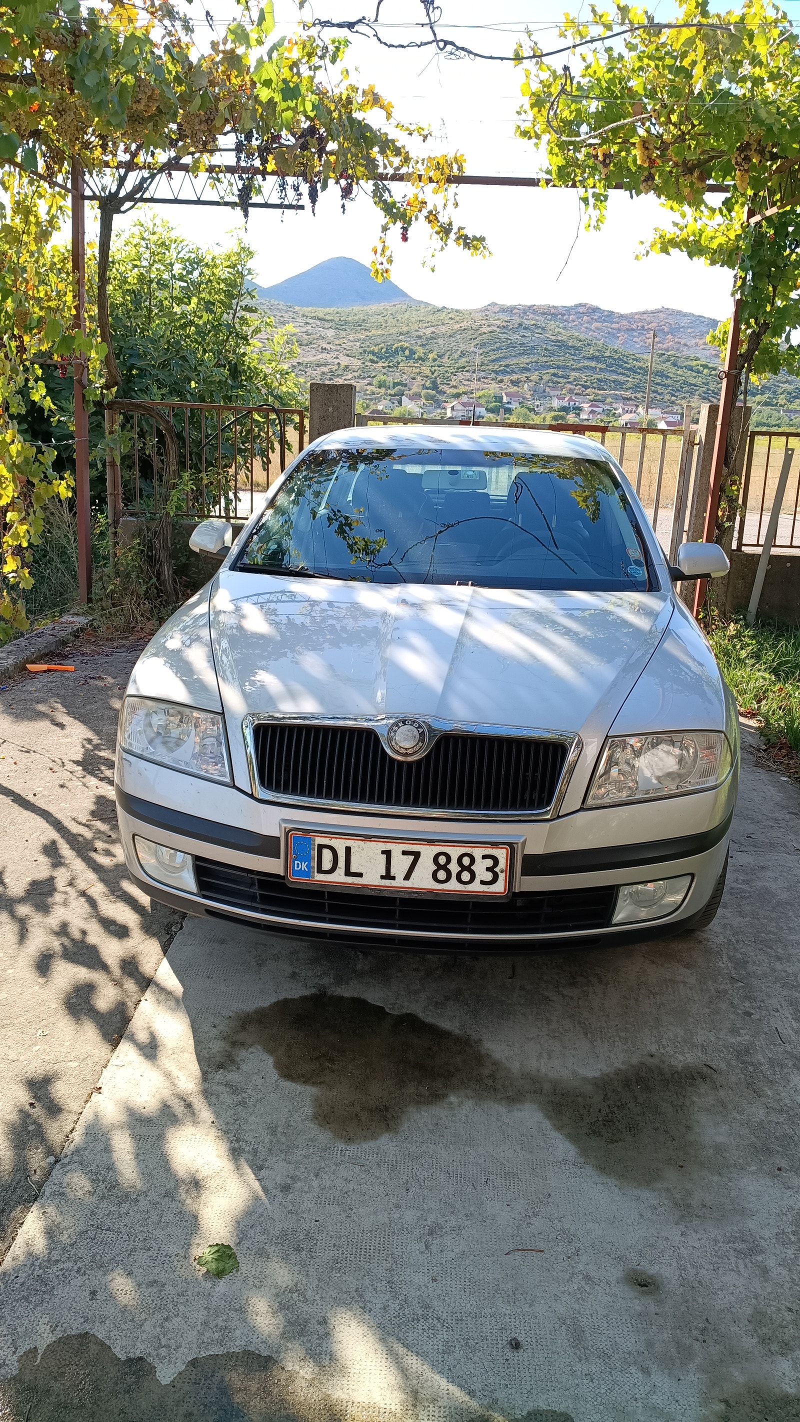 Skoda Octavia til salg hos Nabilli