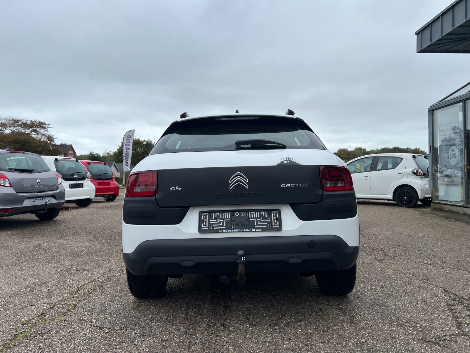 Citroen C4 Cactus – billede 6