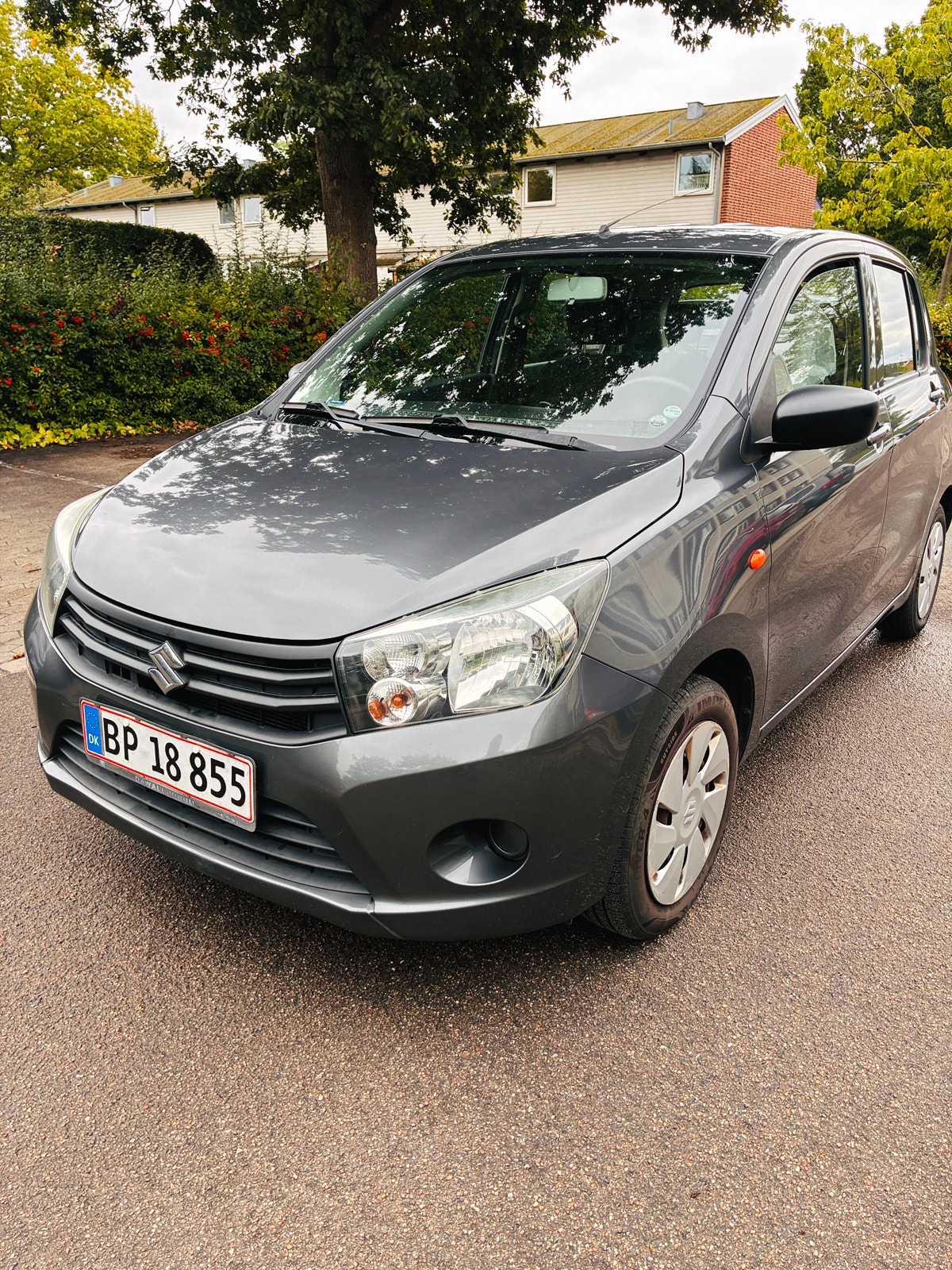 Suzuki Celerio til salg hos Nabilli