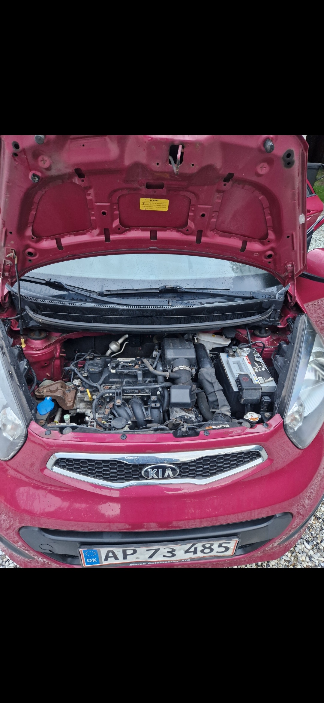 Kia Picanto til salg hos Nabilli