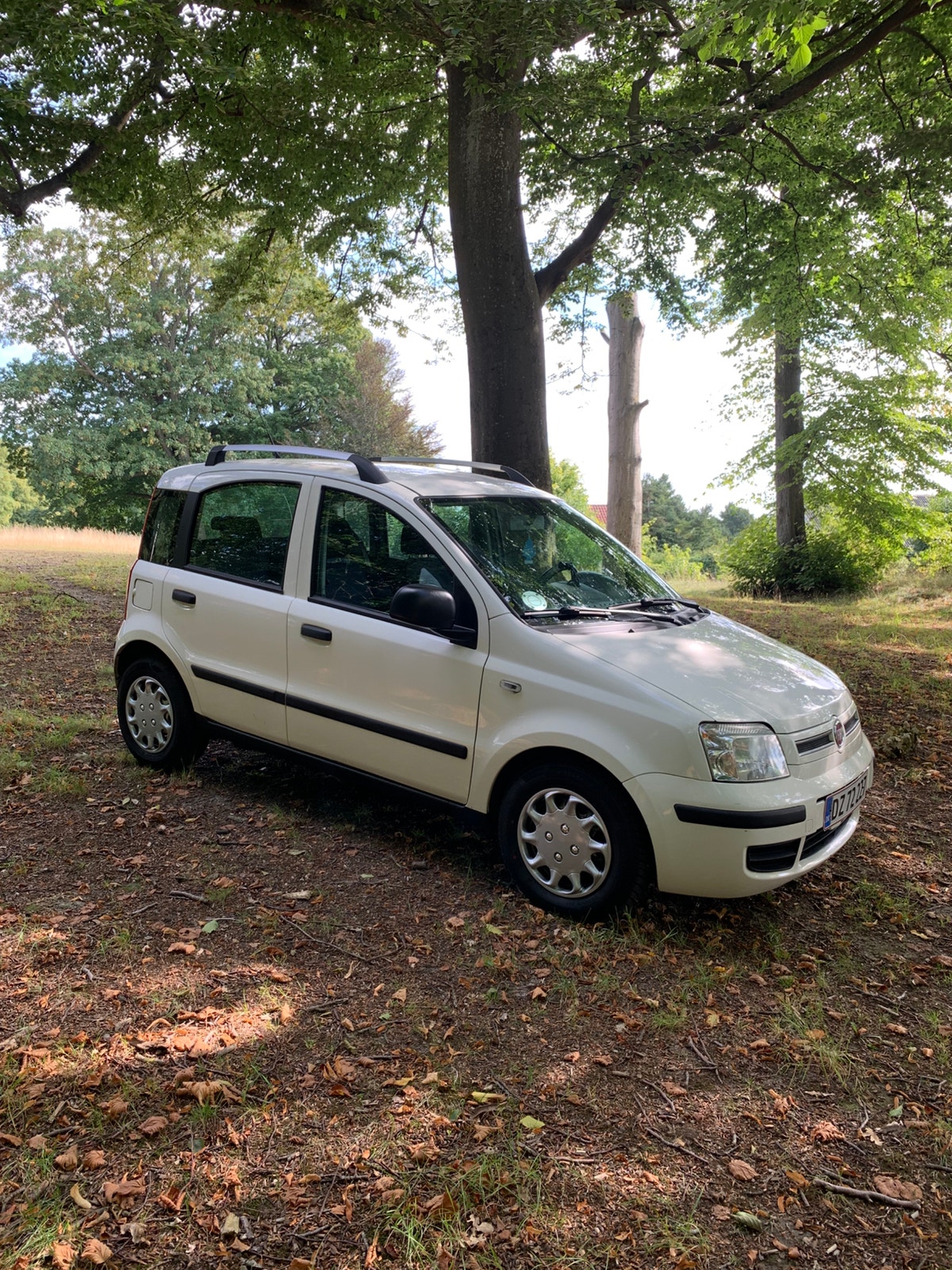 Fiat Panda til salg hos Nabilli