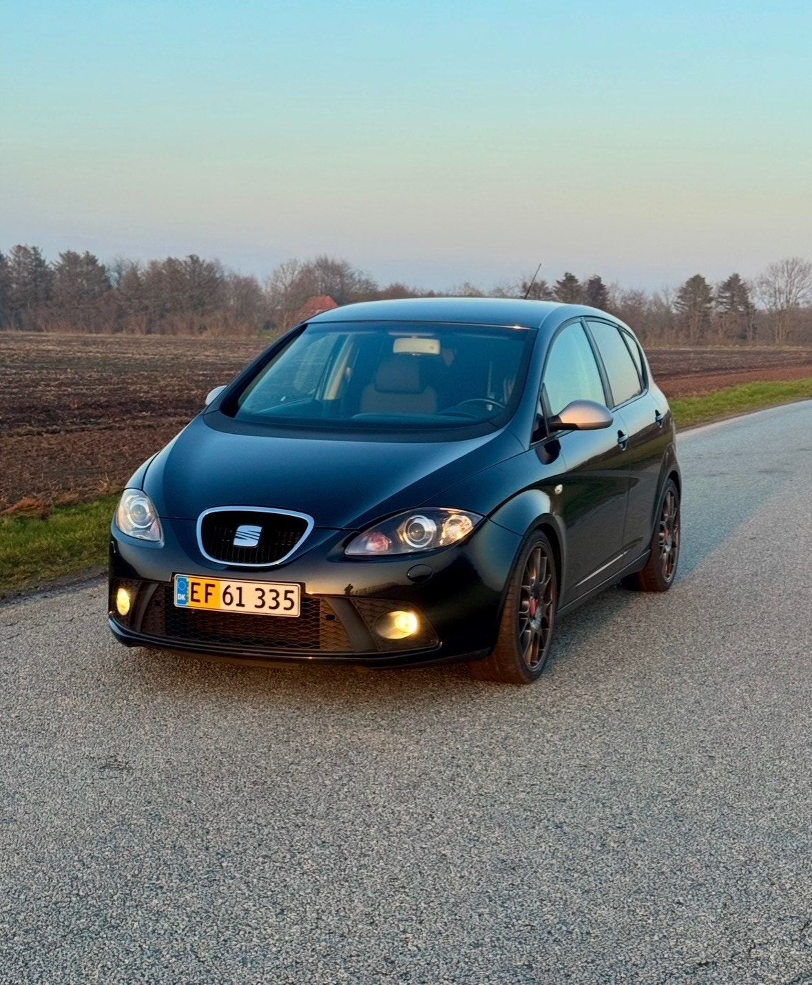 Seat Altea til salg hos Nabilli