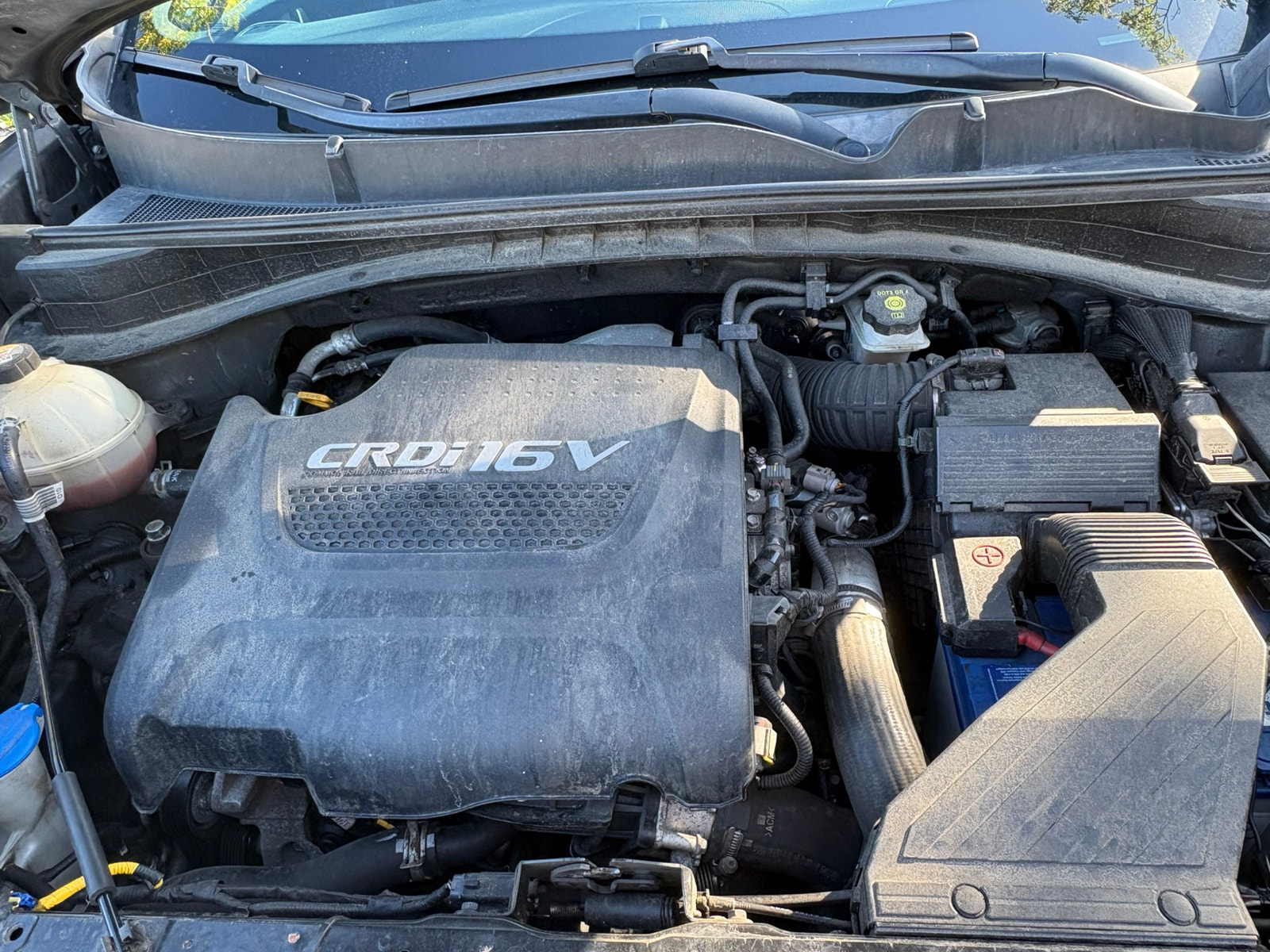 Kia Sportage – billede 5