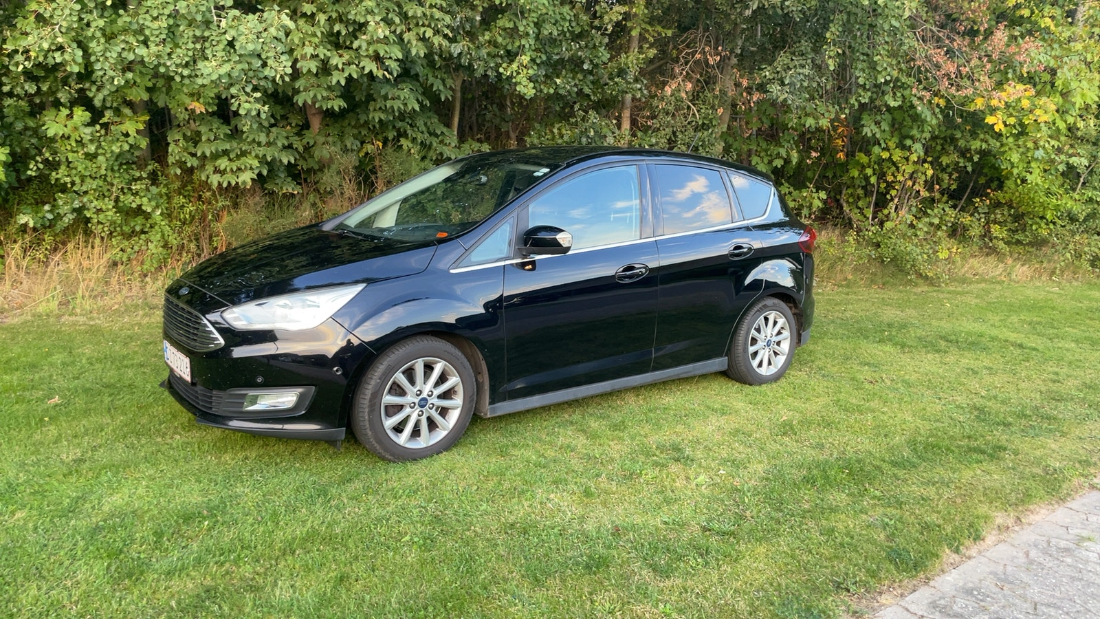 Ford C-Max til salg hos Nabilli