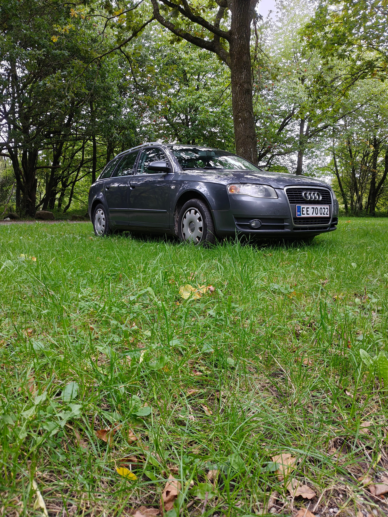 Audi A4 til salg hos Nabilli