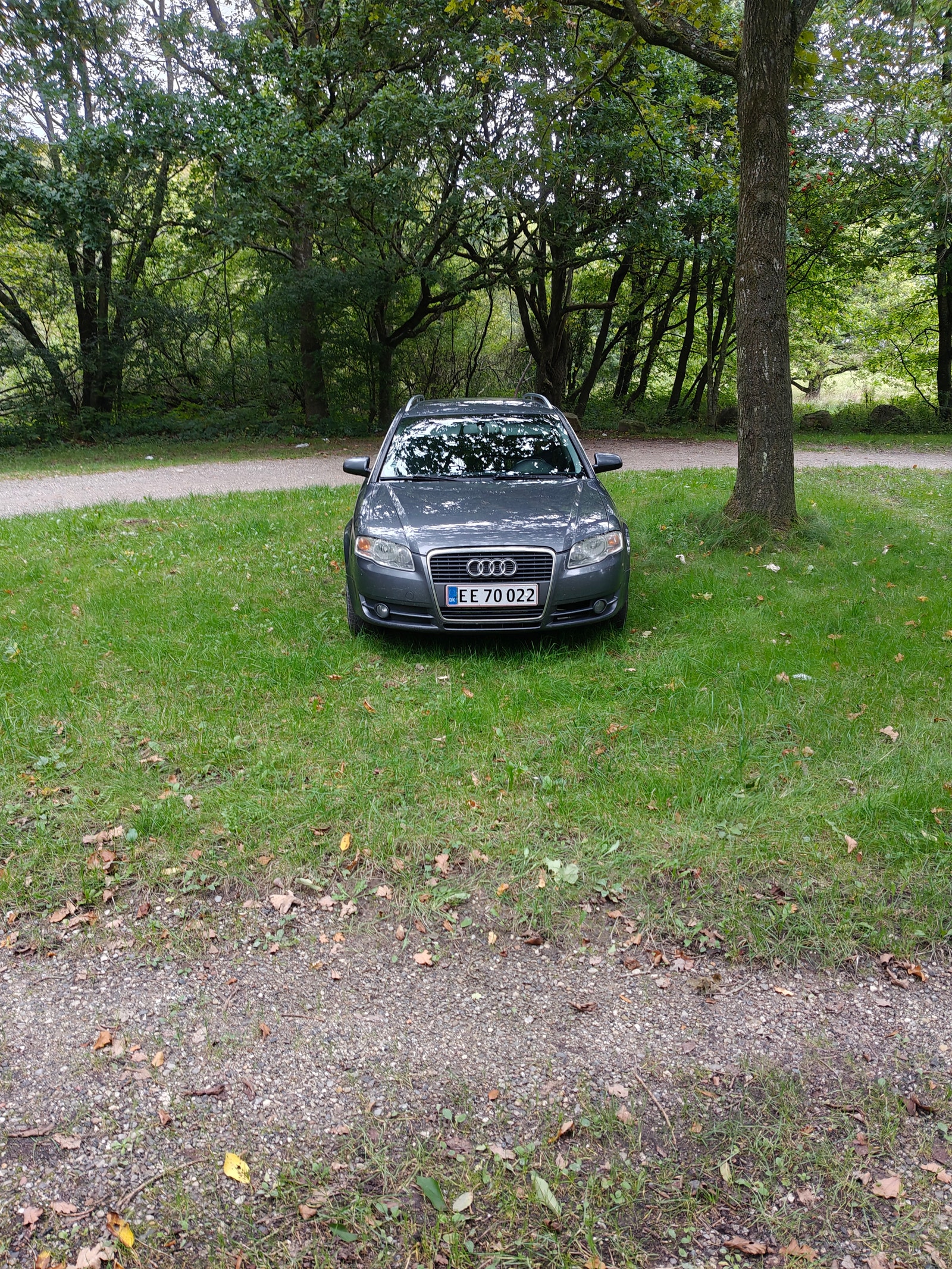 Audi A4 til salg hos Nabilli