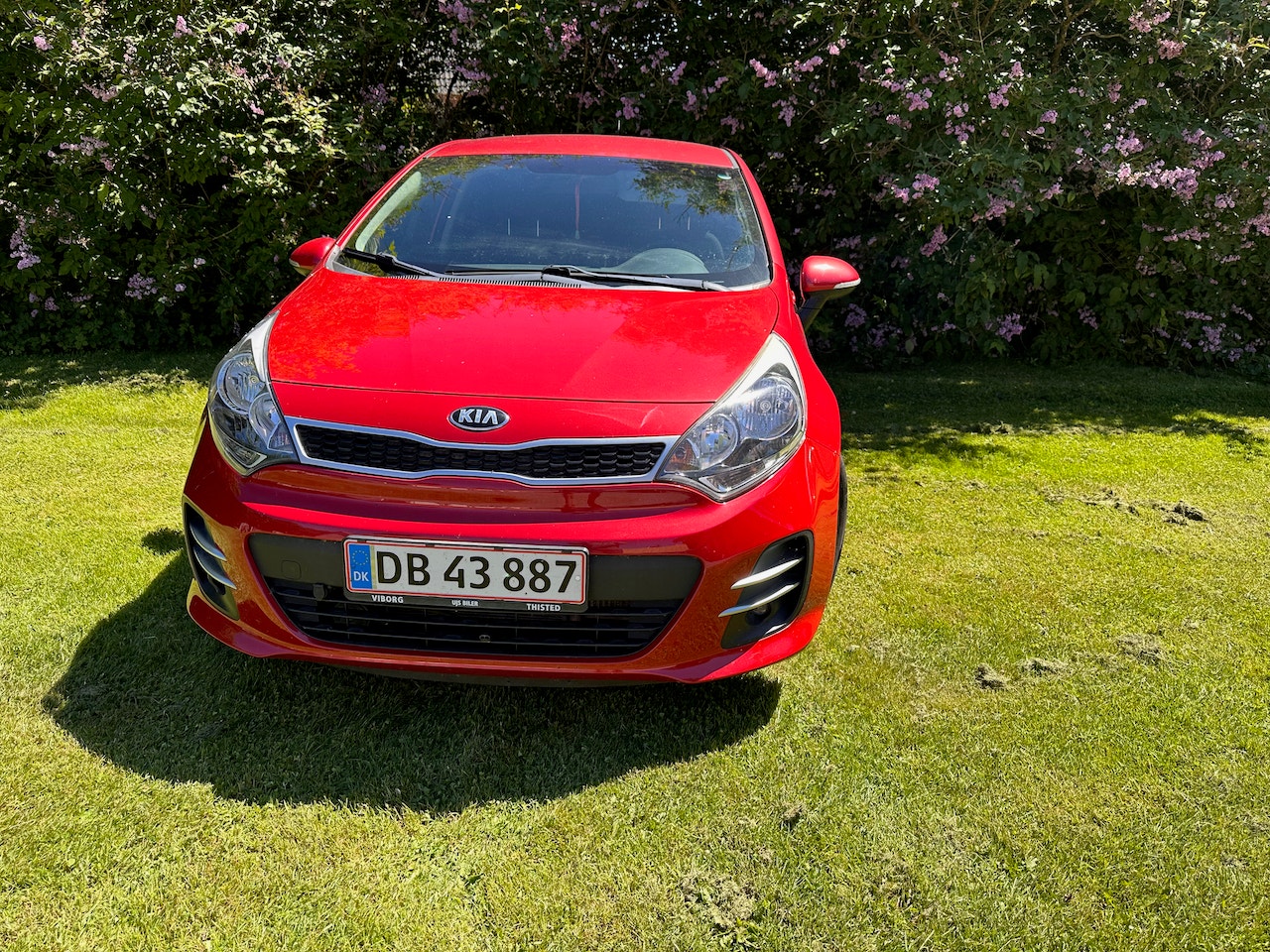 Kia Rio til salg hos Nabilli