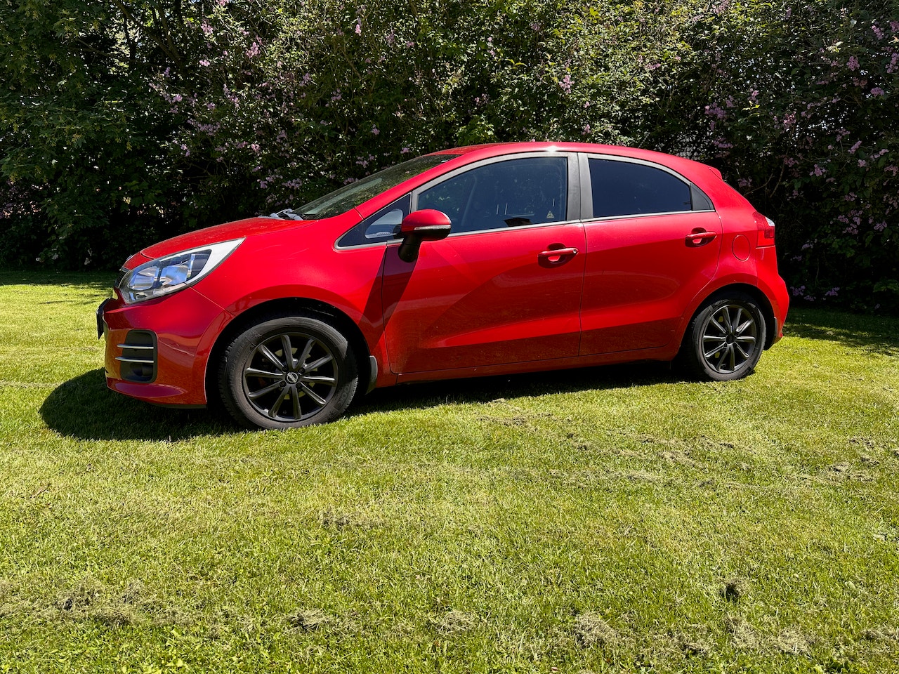 Kia Rio til salg hos Nabilli