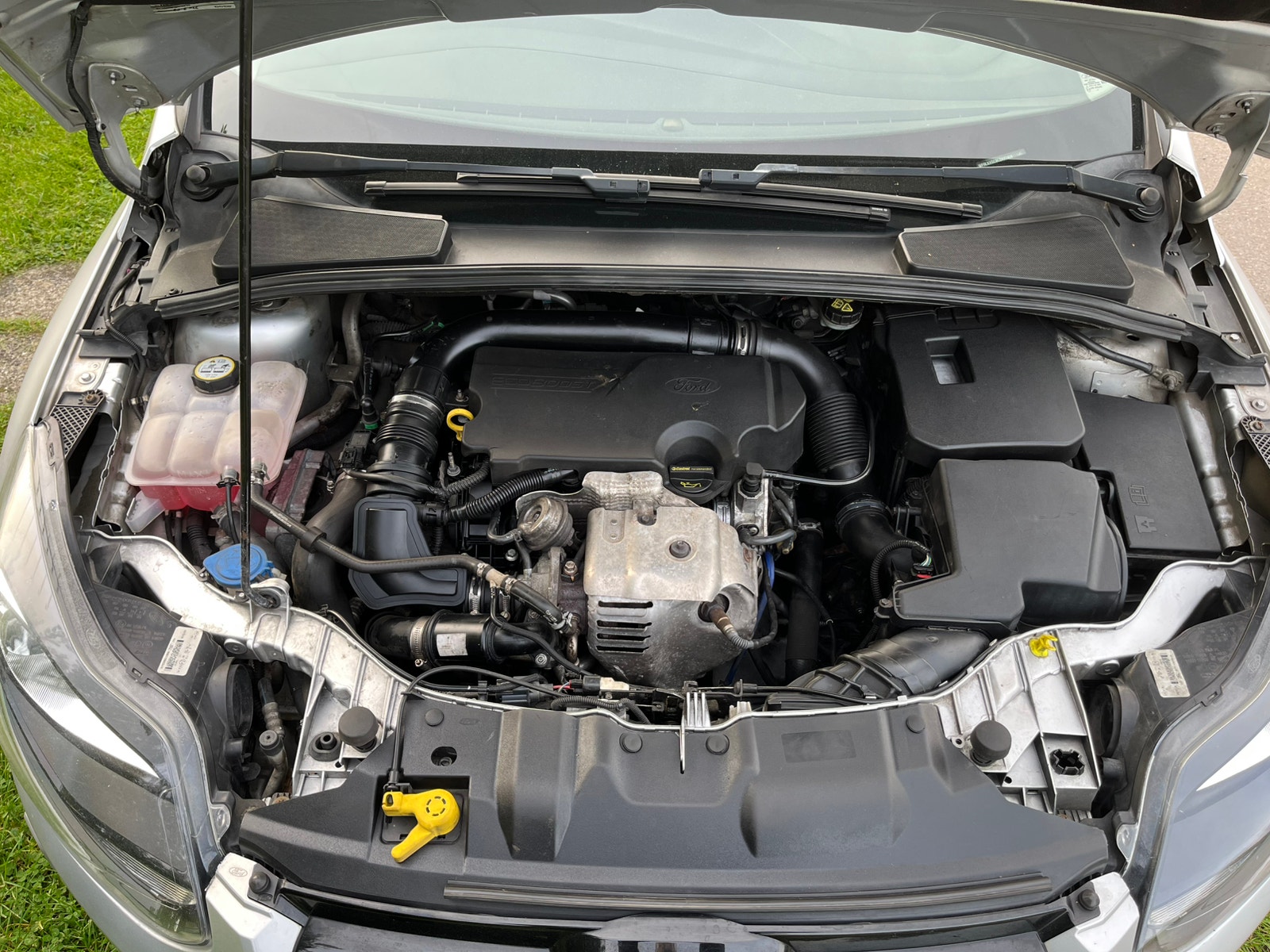 Ford Focus til salg hos Nabilli