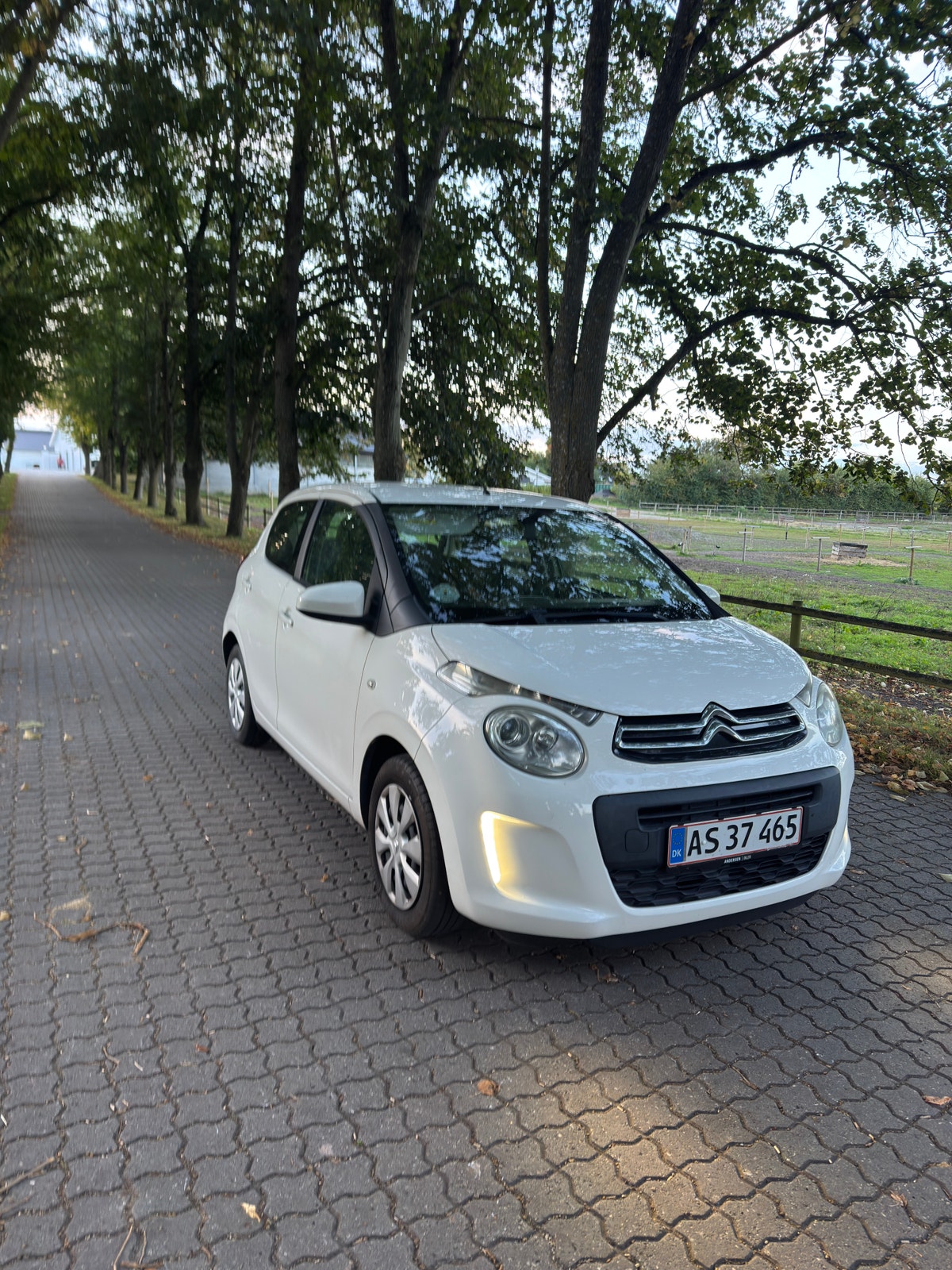 Citroen C1 til salg hos Nabilli