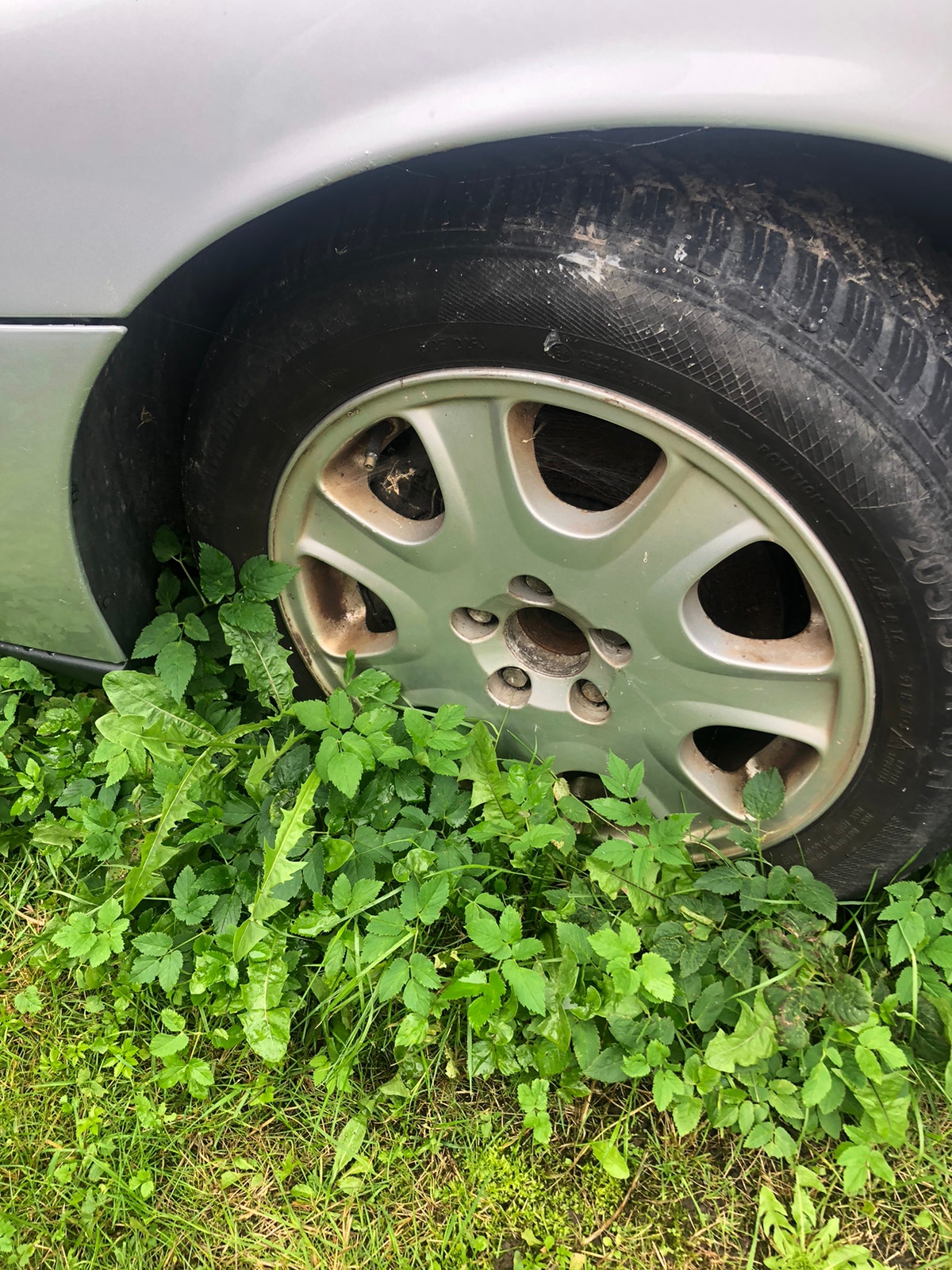 Volvo V70 til salg hos Nabilli
