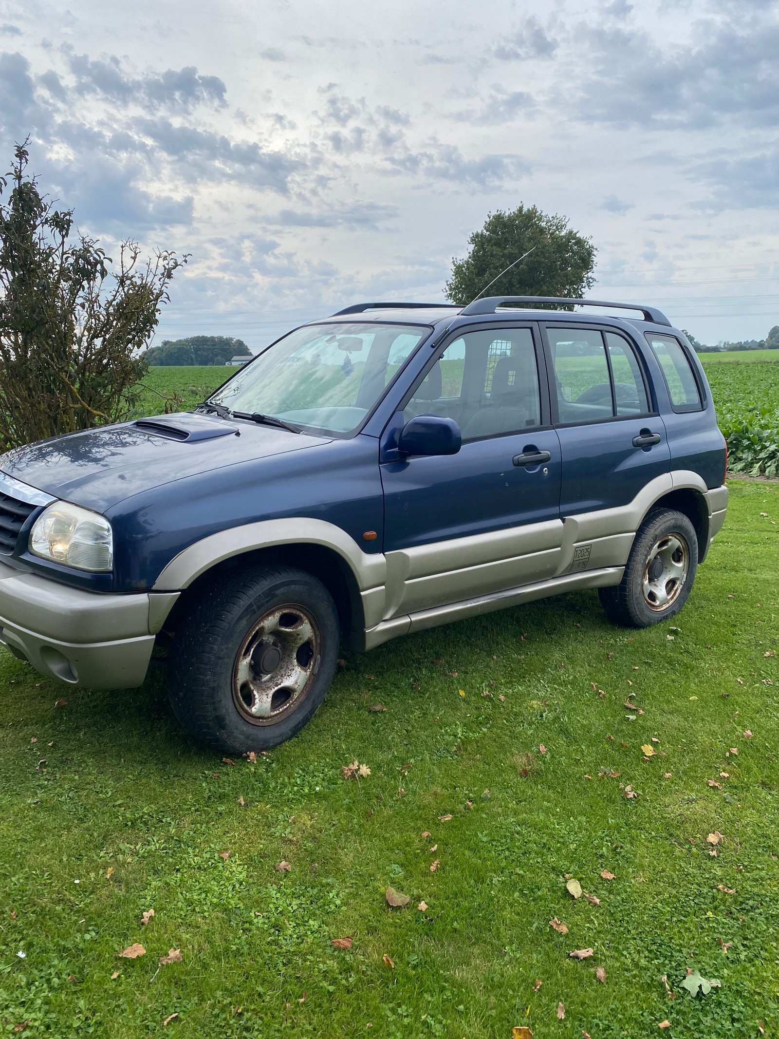 Suzuki Grand Vitara til salg hos Nabilli