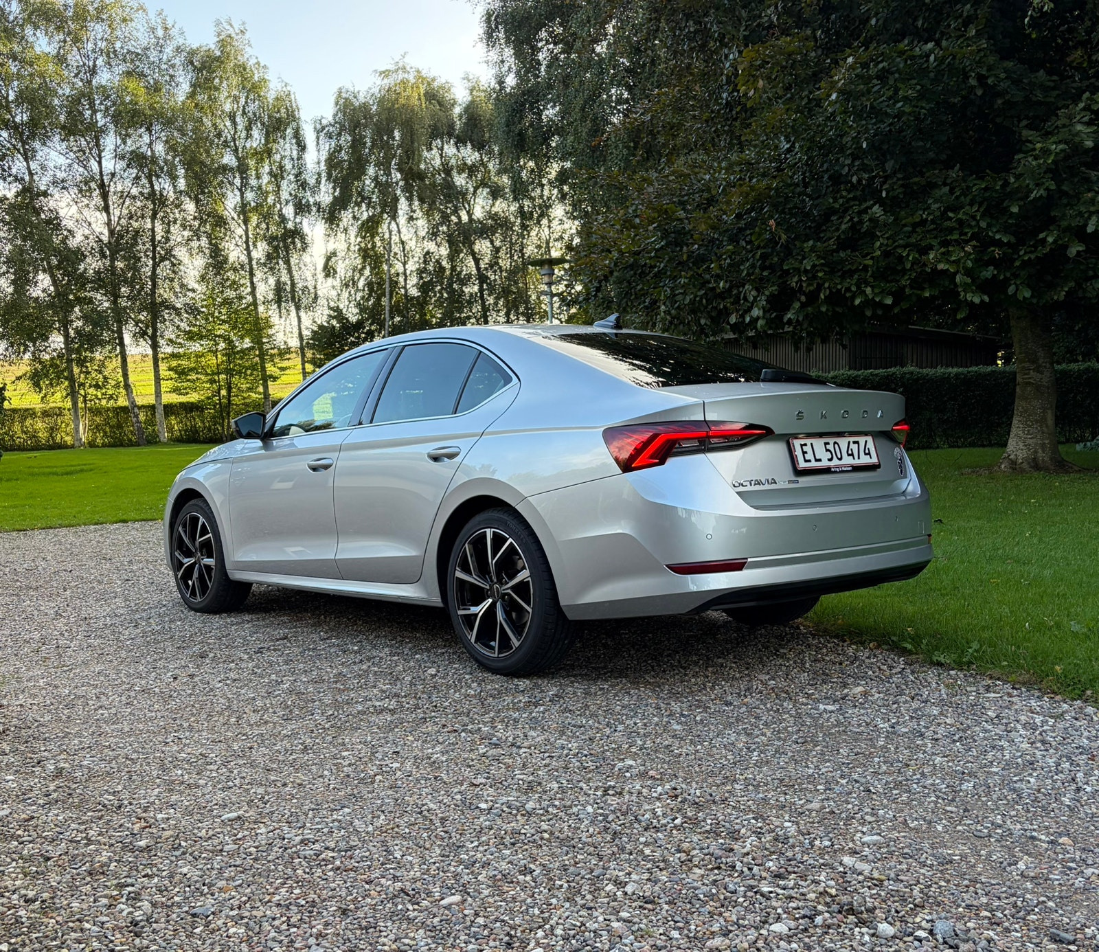 Skoda Octavia til salg hos Nabilli