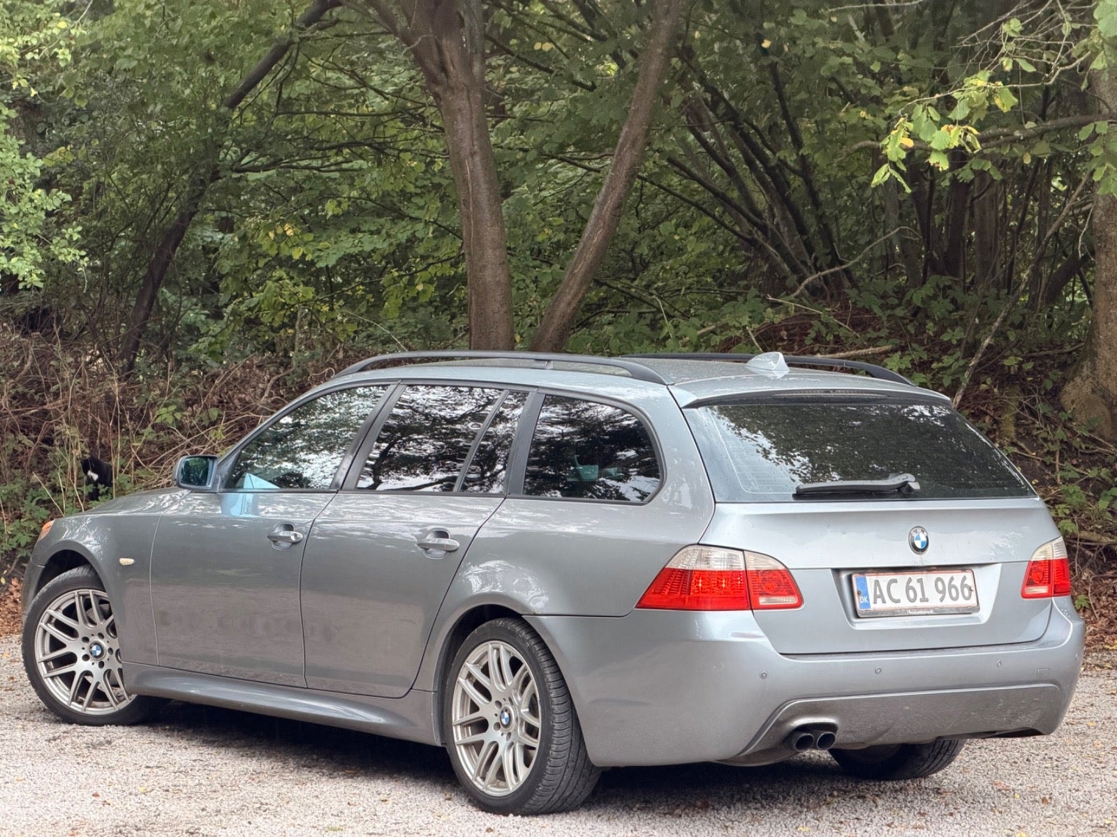 BMW 530d til salg hos Nabilli