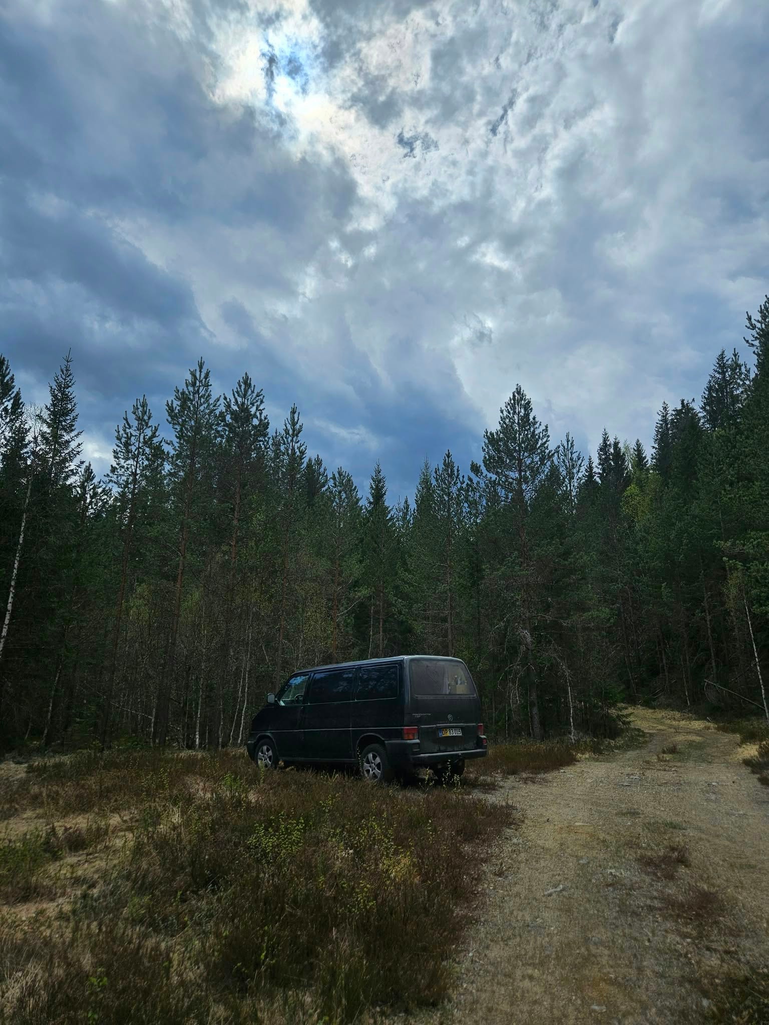 VW Transporter til salg hos Nabilli