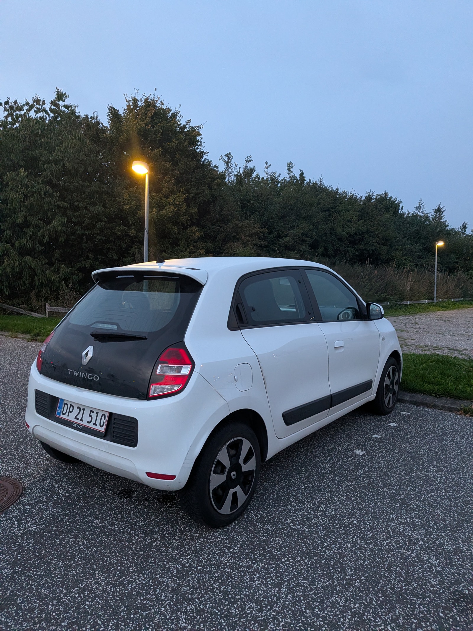 Renault Twingo til salg hos Nabilli