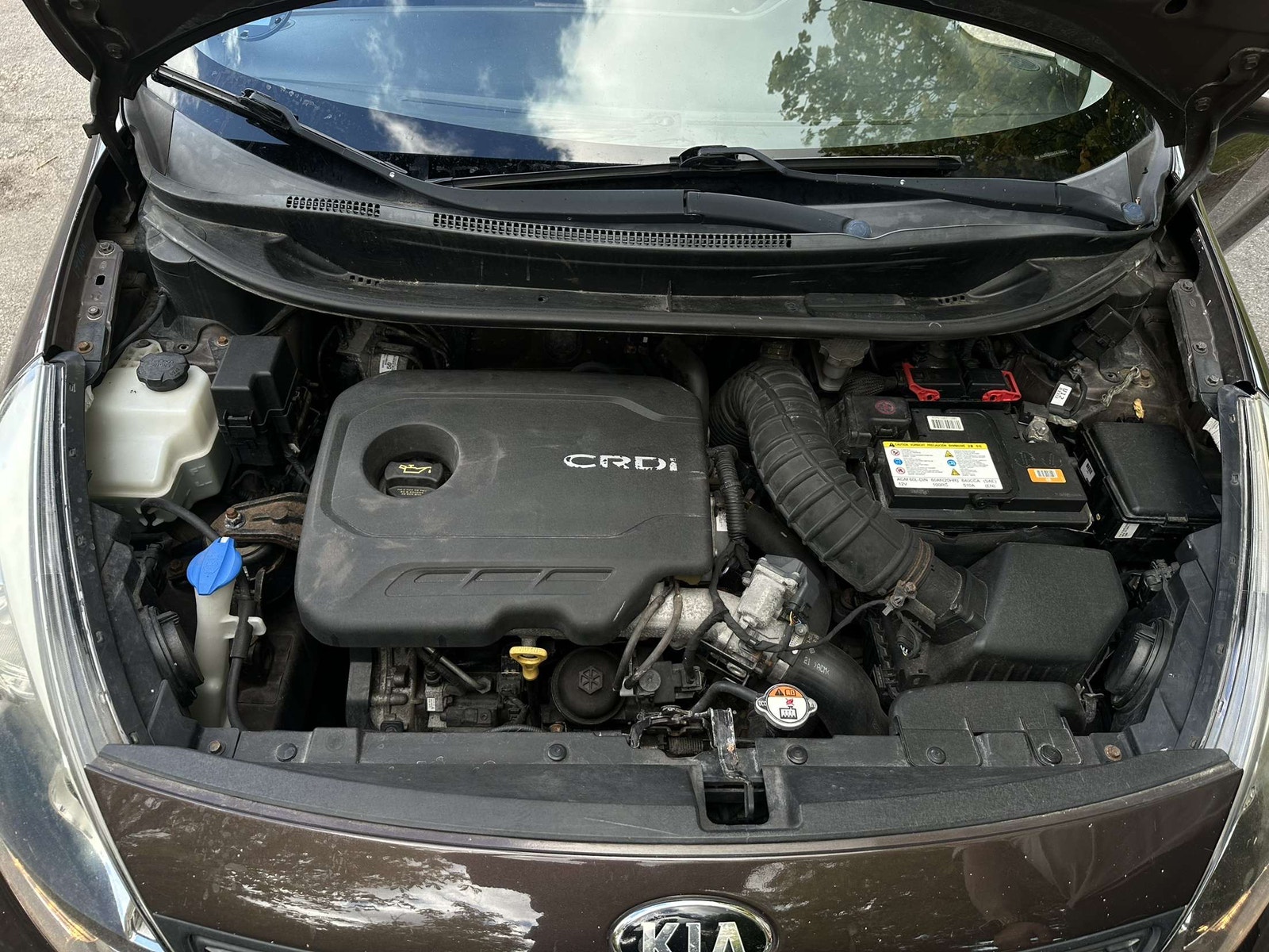 Kia Rio til salg hos Nabilli