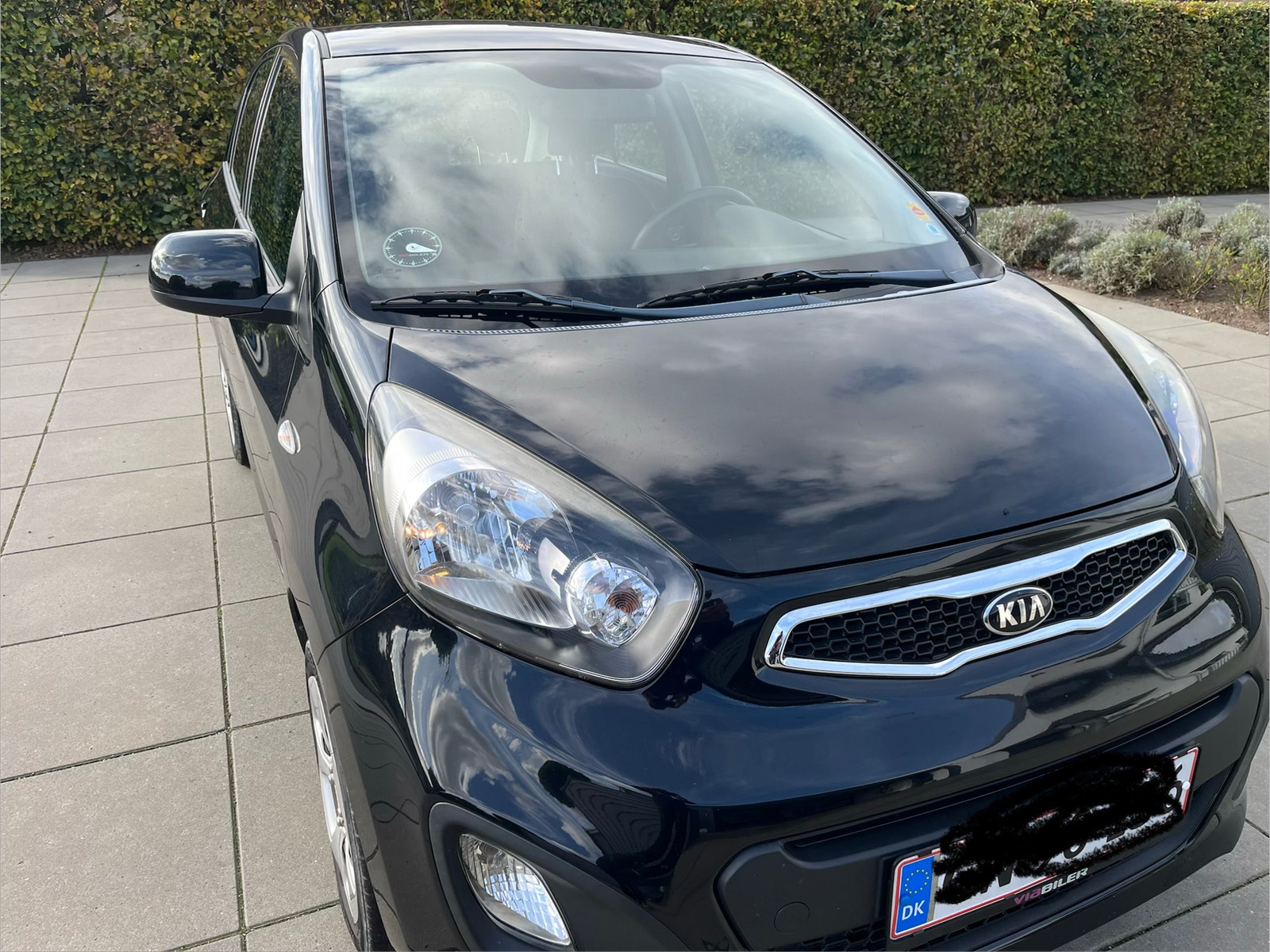 Kia Picanto til salg hos Nabilli
