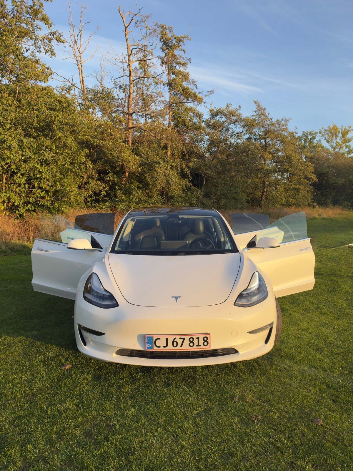Tesla Model 3 – billede 6