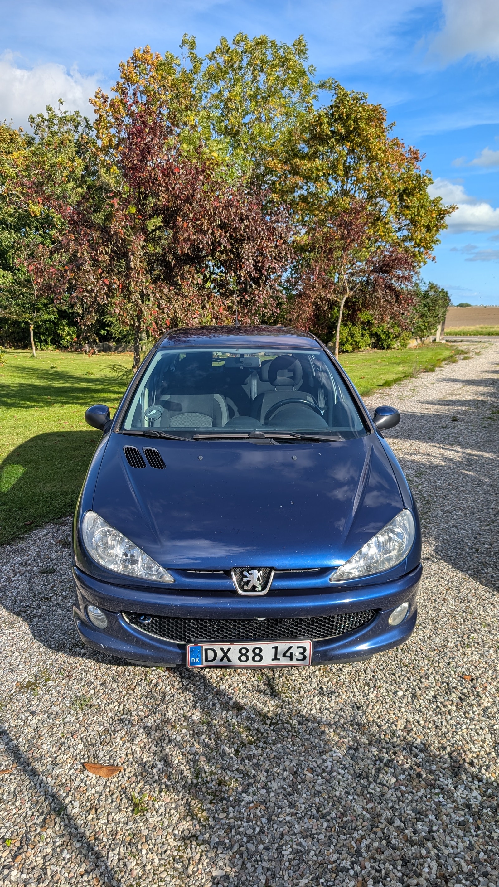 Peugeot 206 til salg hos Nabilli