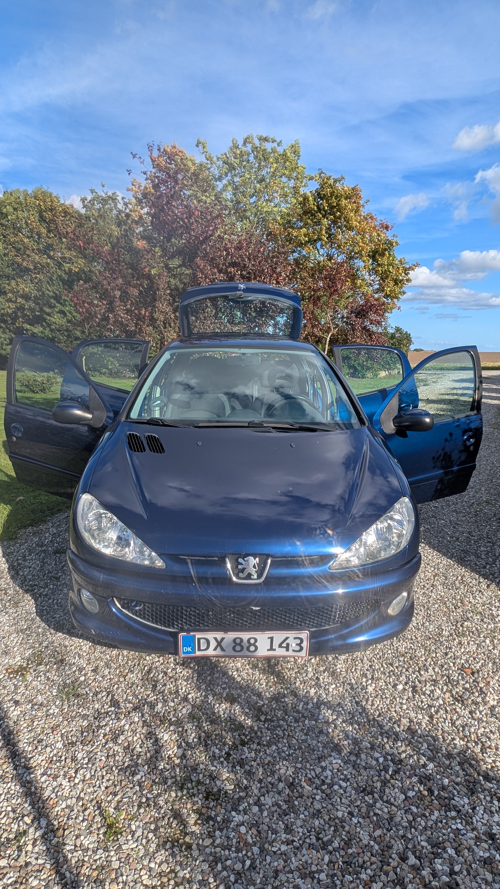 Peugeot 206 til salg hos Nabilli
