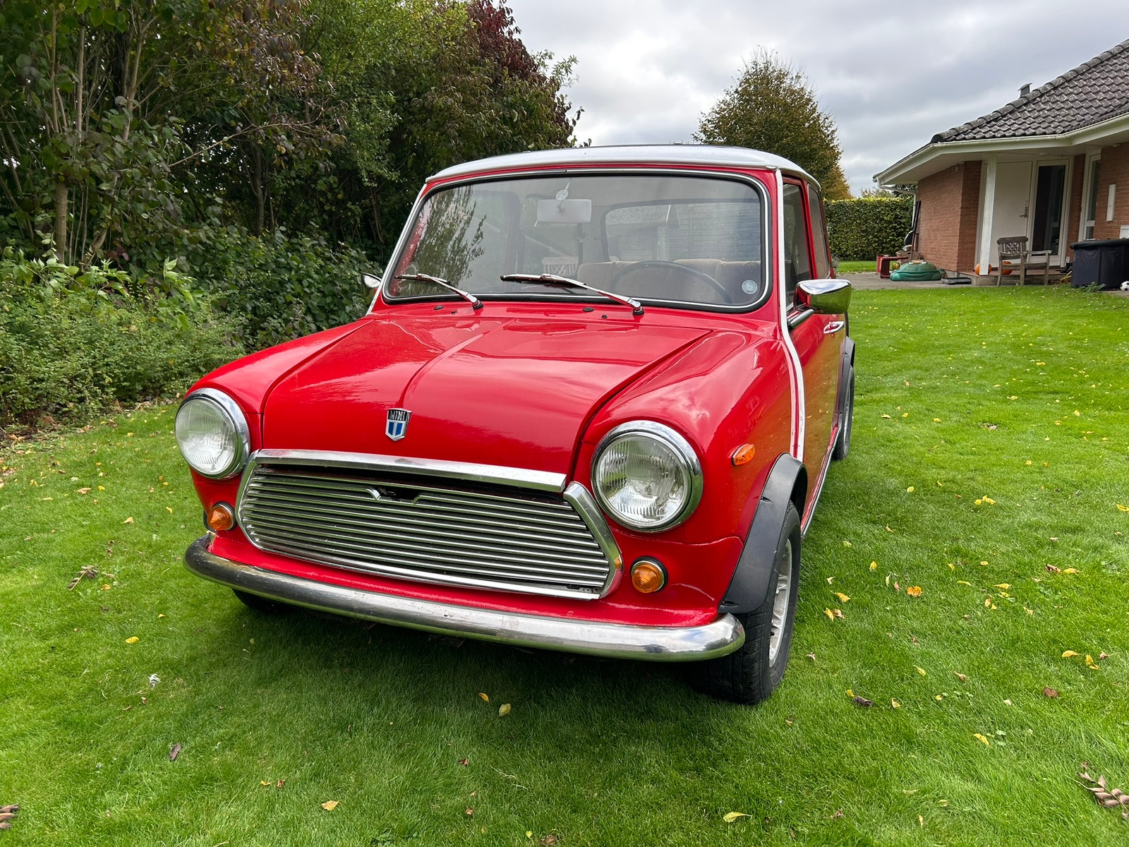 Morris Mascot – billede 5