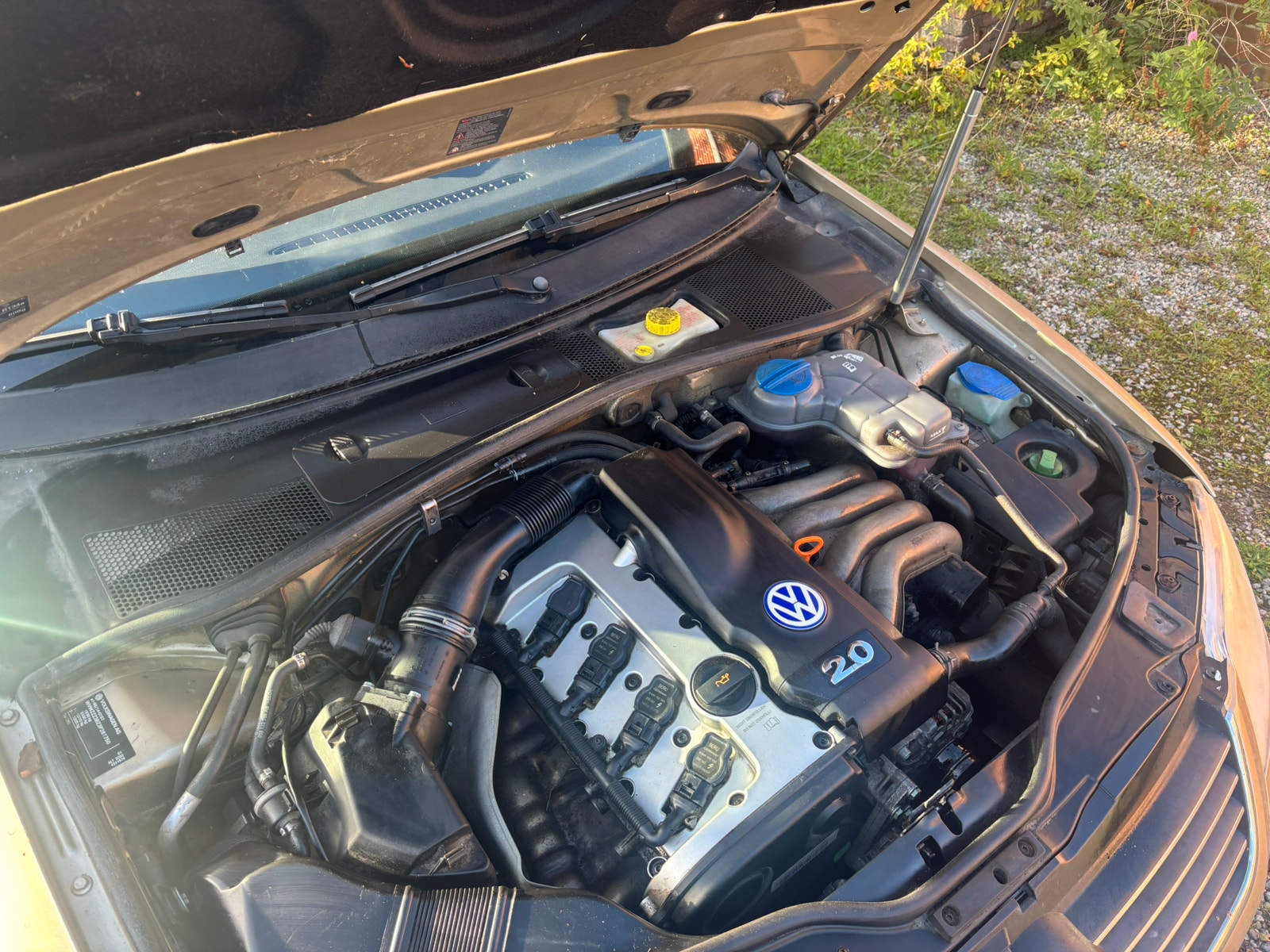 VW Passat – billede 8
