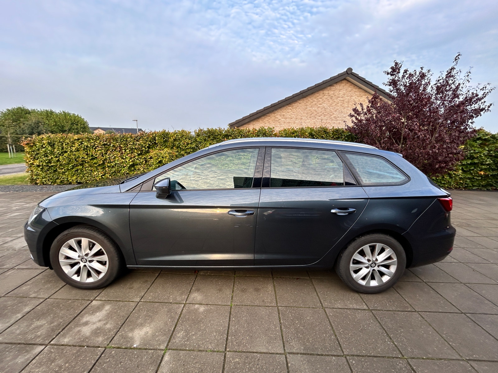 Seat Leon til salg hos Nabilli
