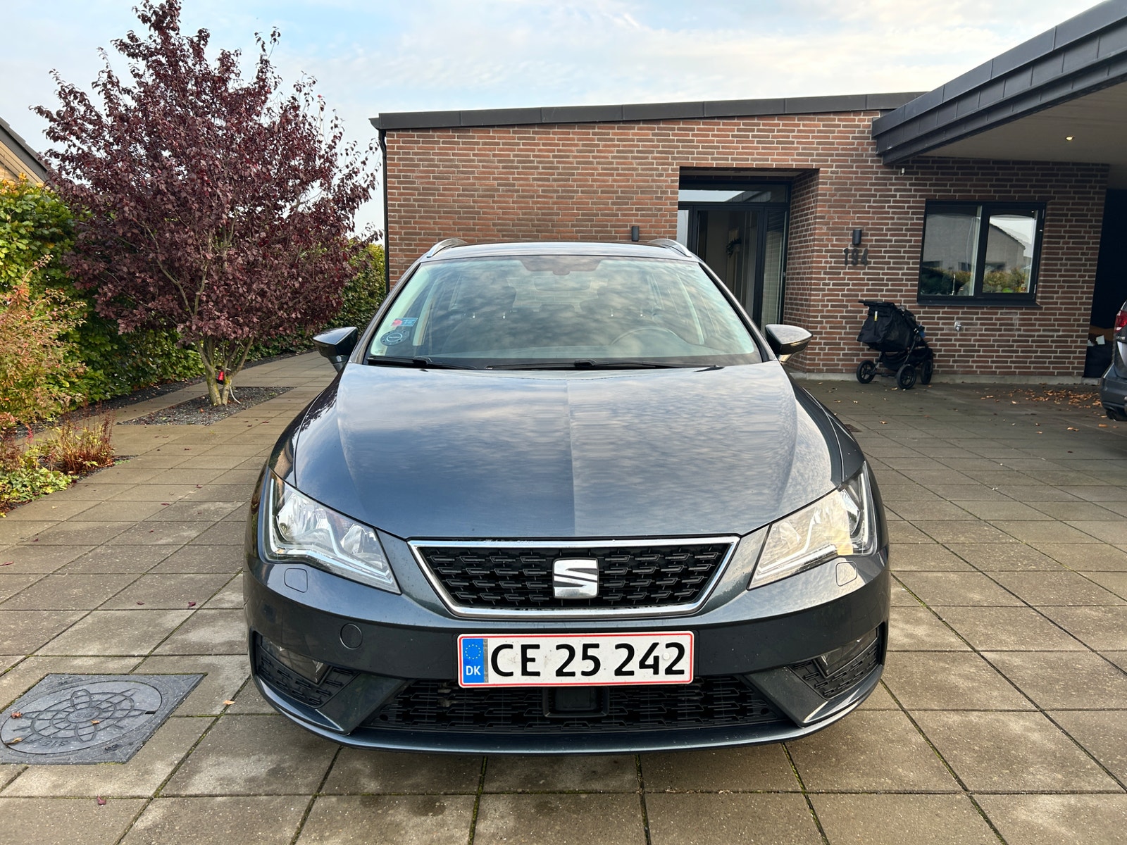 Seat Leon til salg hos Nabilli