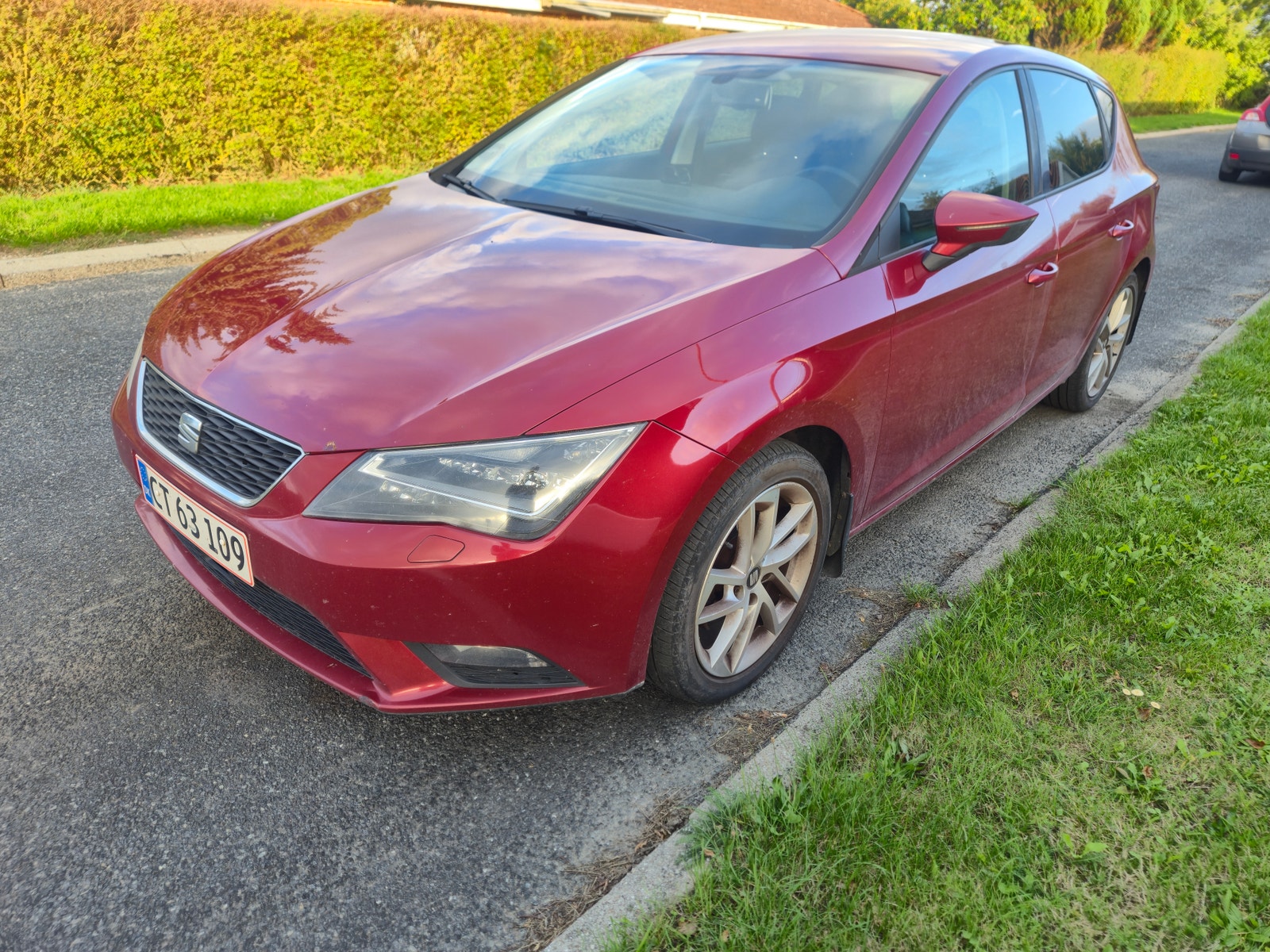 Seat Leon til salg hos Nabilli