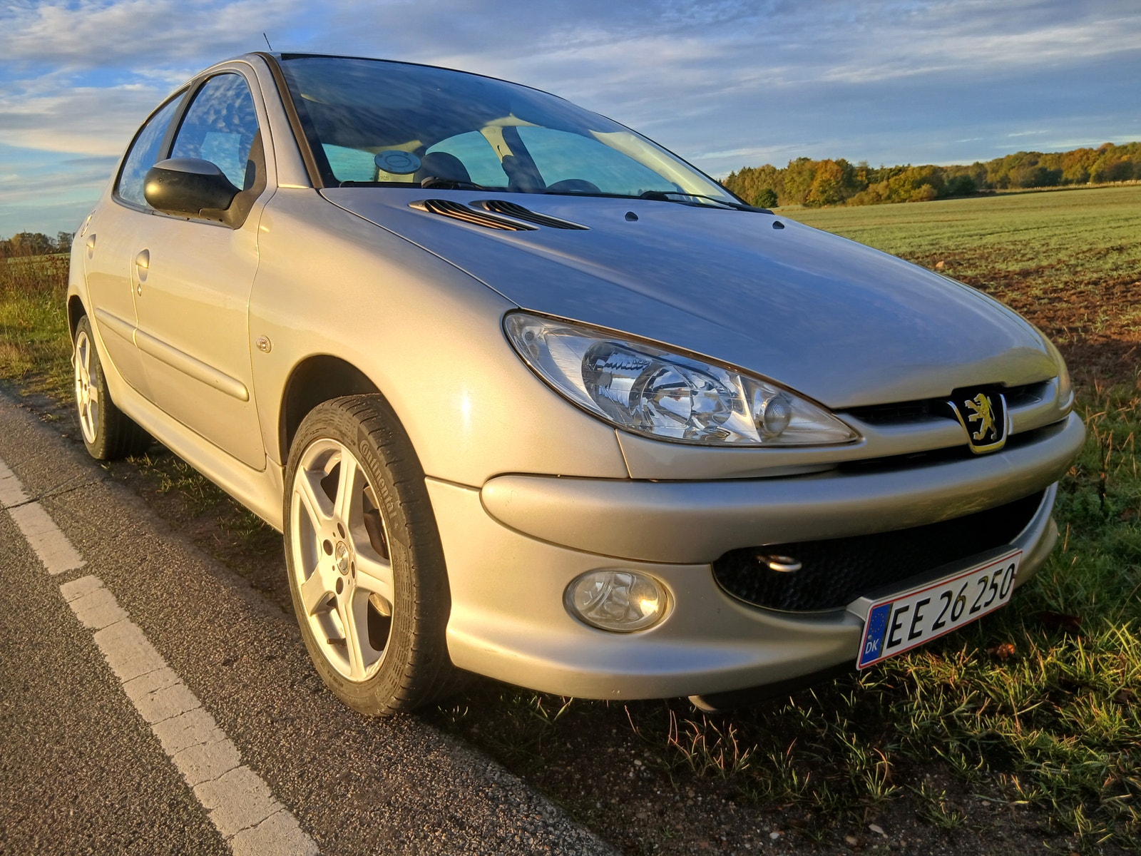 Peugeot 206 til salg hos Nabilli