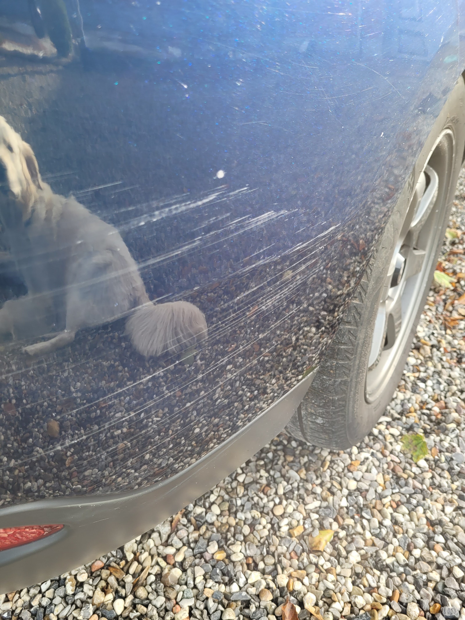 Dacia Lodgy – billede 8