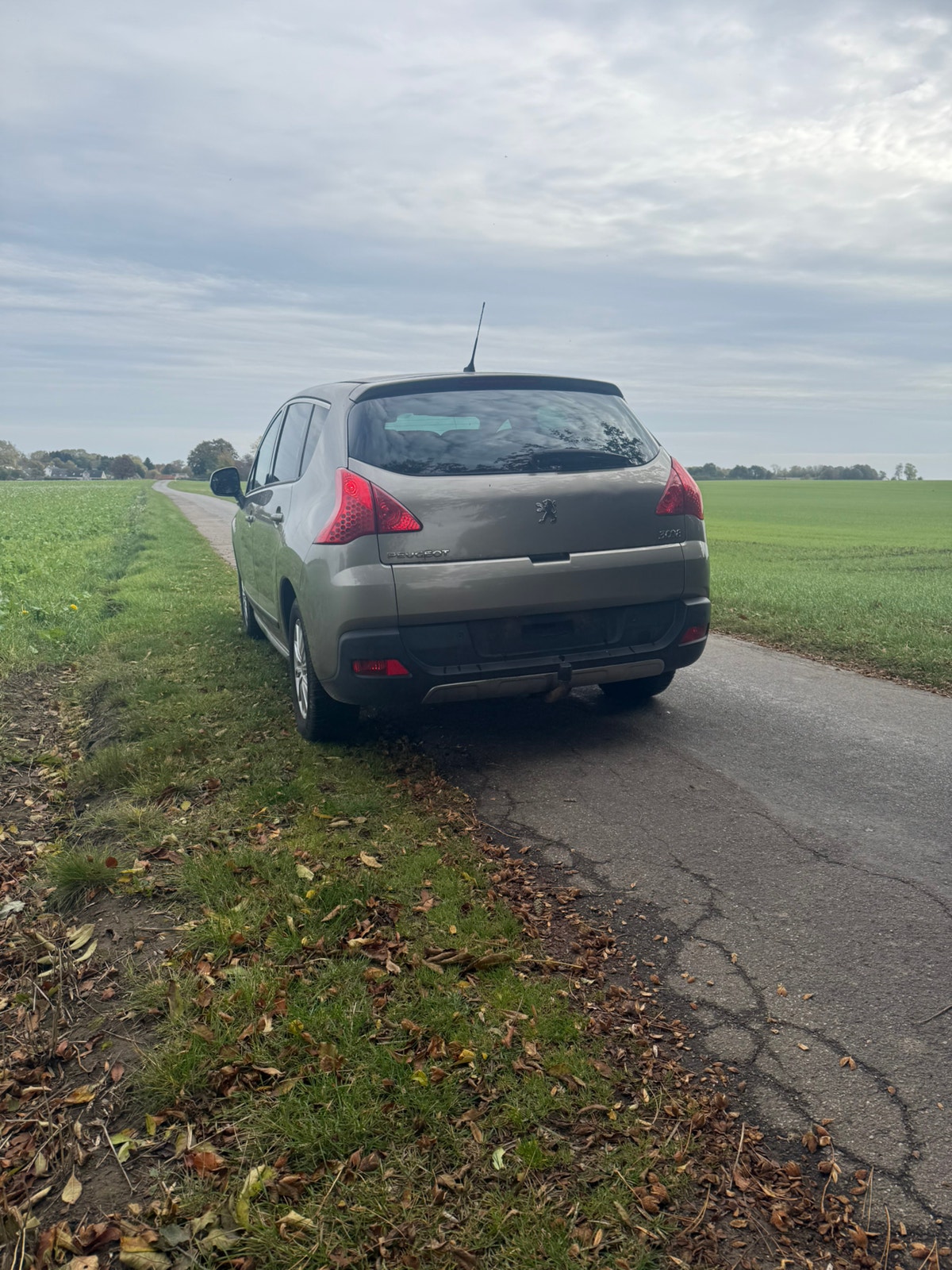 Peugeot 3008 til salg hos Nabilli