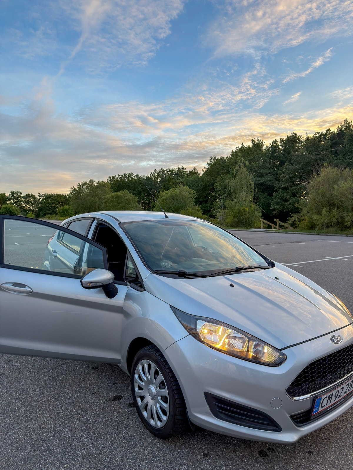 Ford Fiesta til salg hos Nabilli