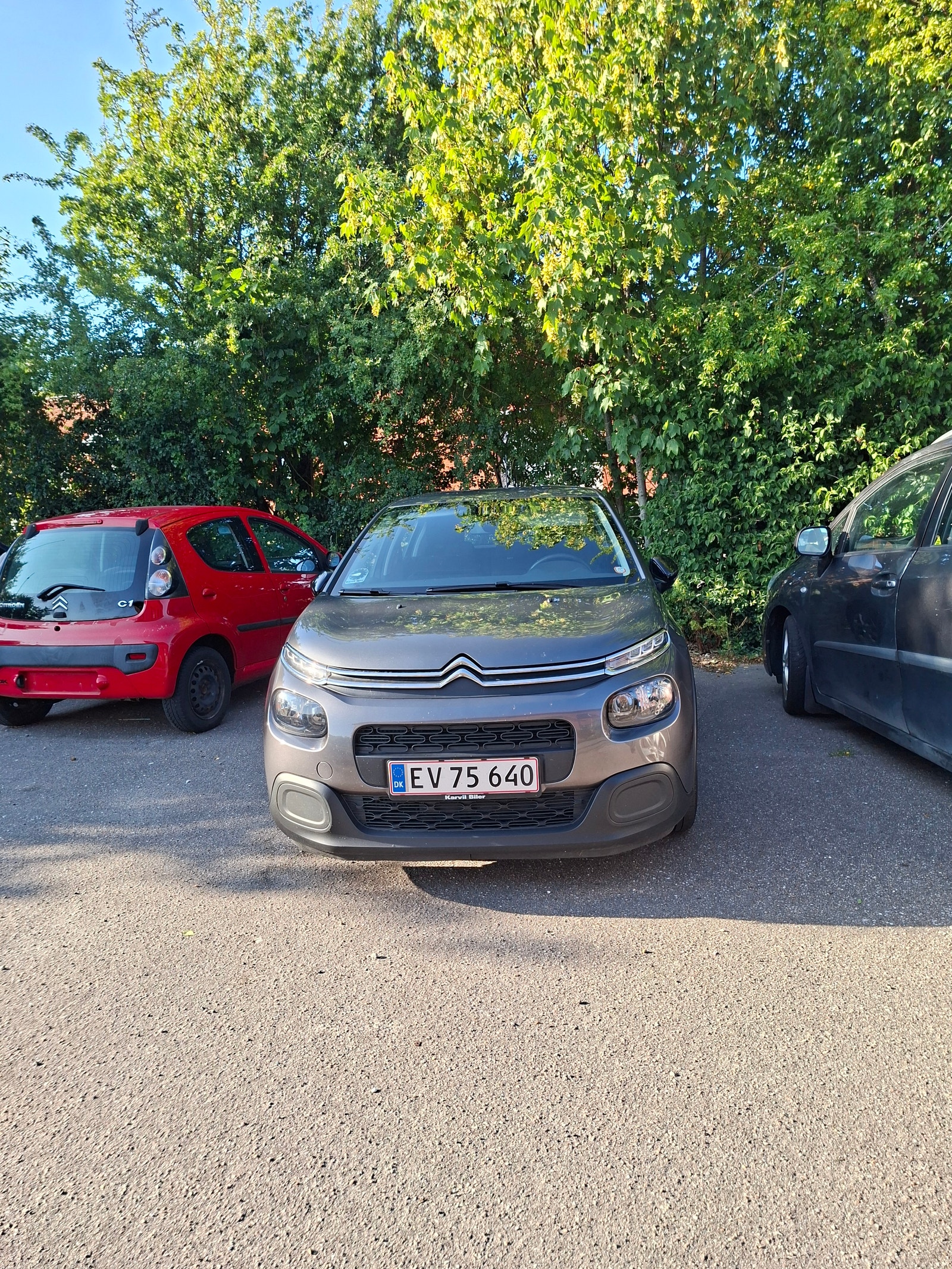 Citroen C3 til salg hos Nabilli