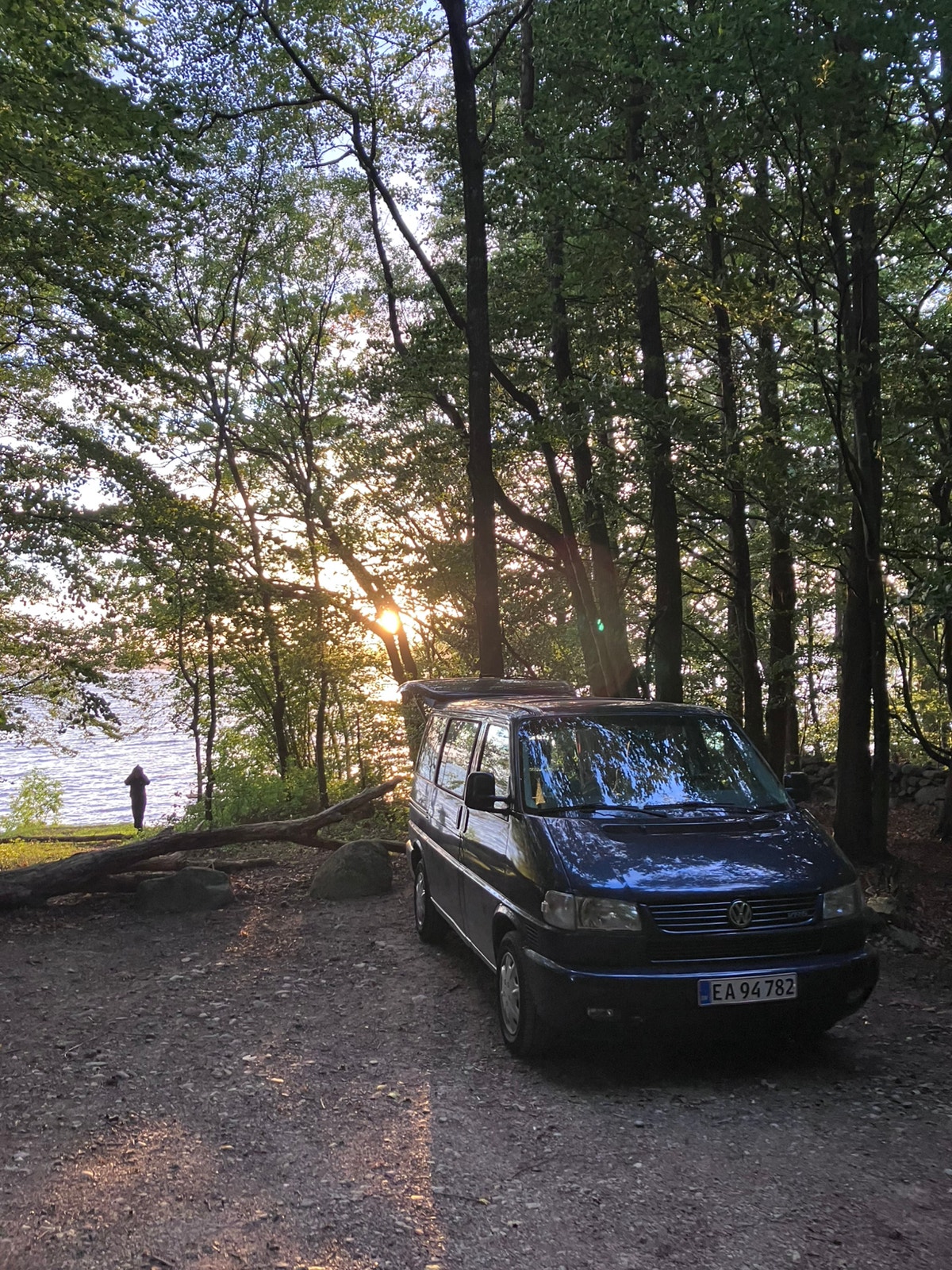 VW Caravelle til salg hos Nabilli