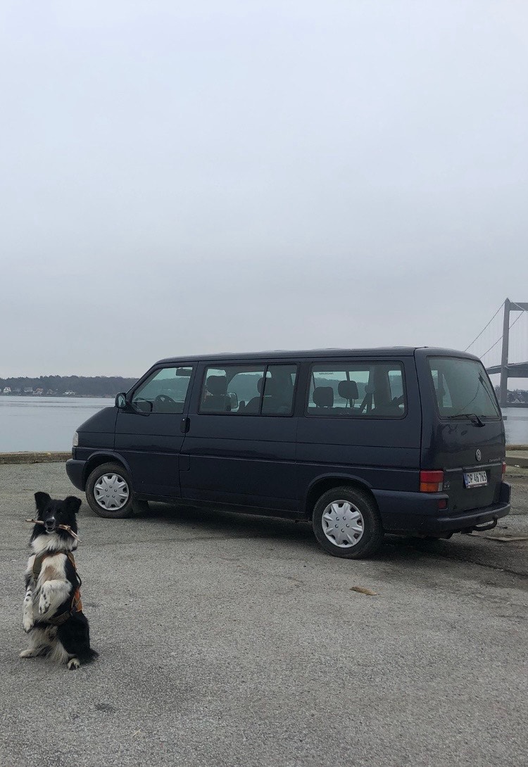 VW Caravelle til salg hos Nabilli