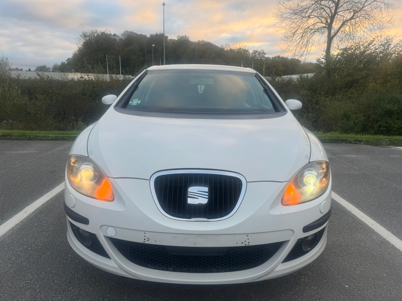 Seat Leon til salg hos Nabilli