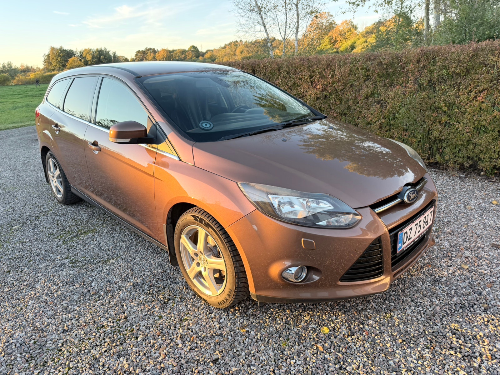 Ford Focus til salg hos Nabilli